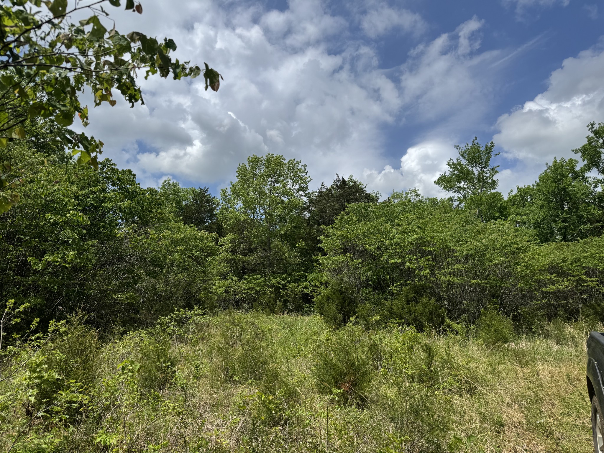 2099 Gentle Road Lewisburg TN 37091