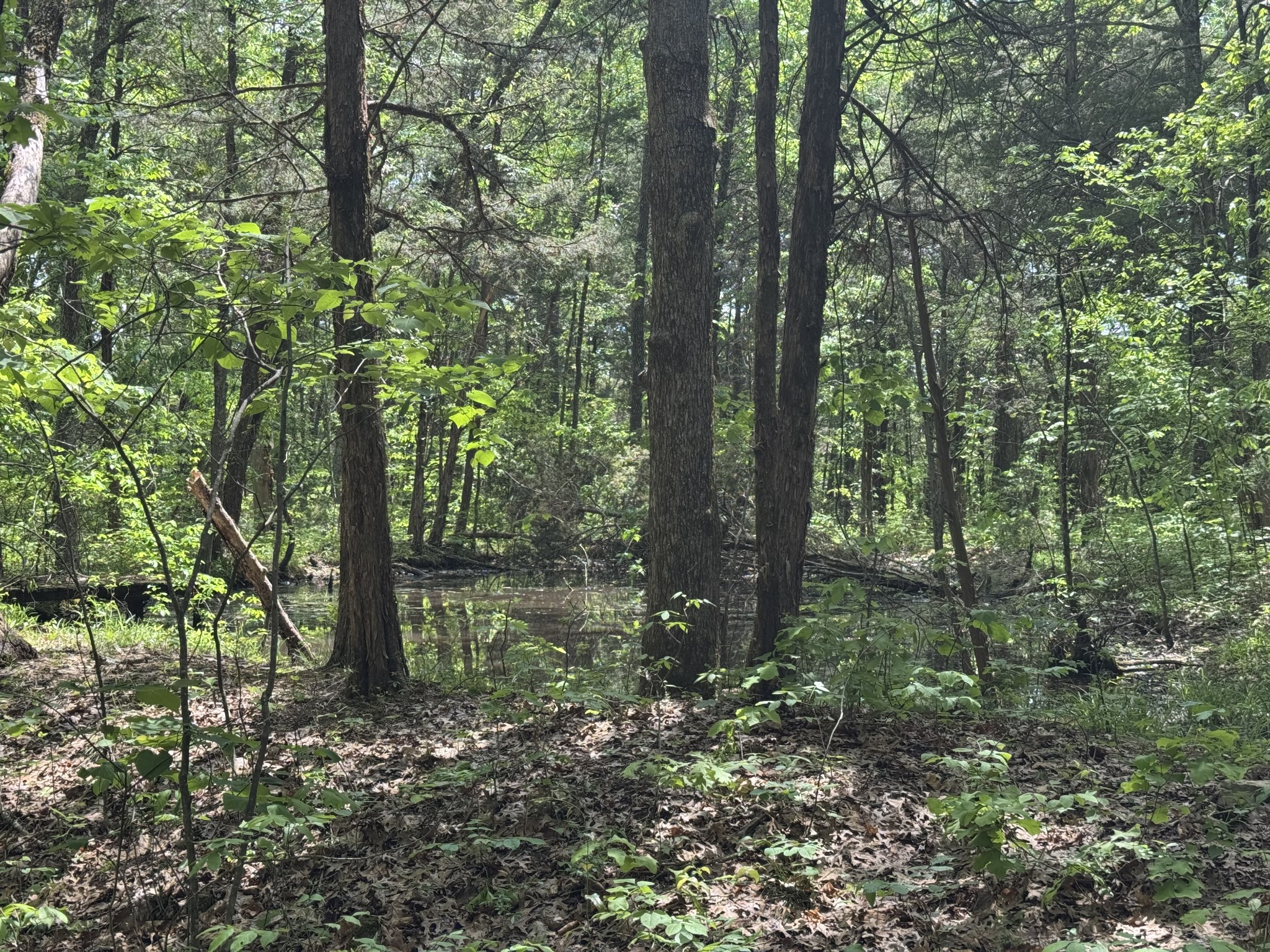 2099 Gentle Road Lewisburg TN 37091