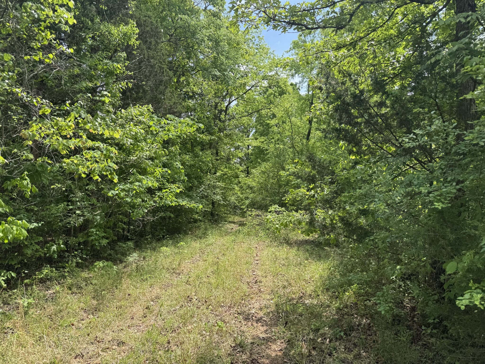 2099 Gentle Road Lewisburg TN 37091