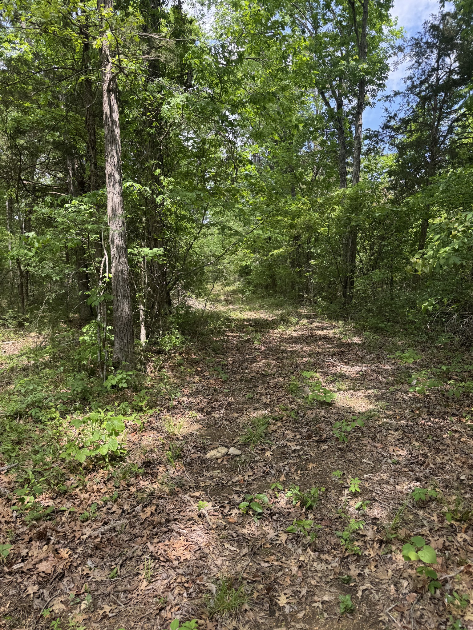 2099 Gentle Road Lewisburg TN 37091