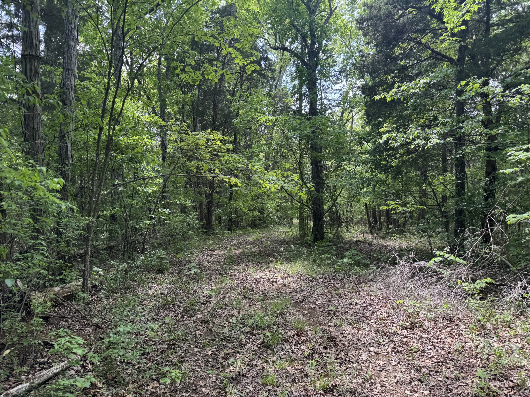 2099 Gentle Road Lewisburg TN 37091