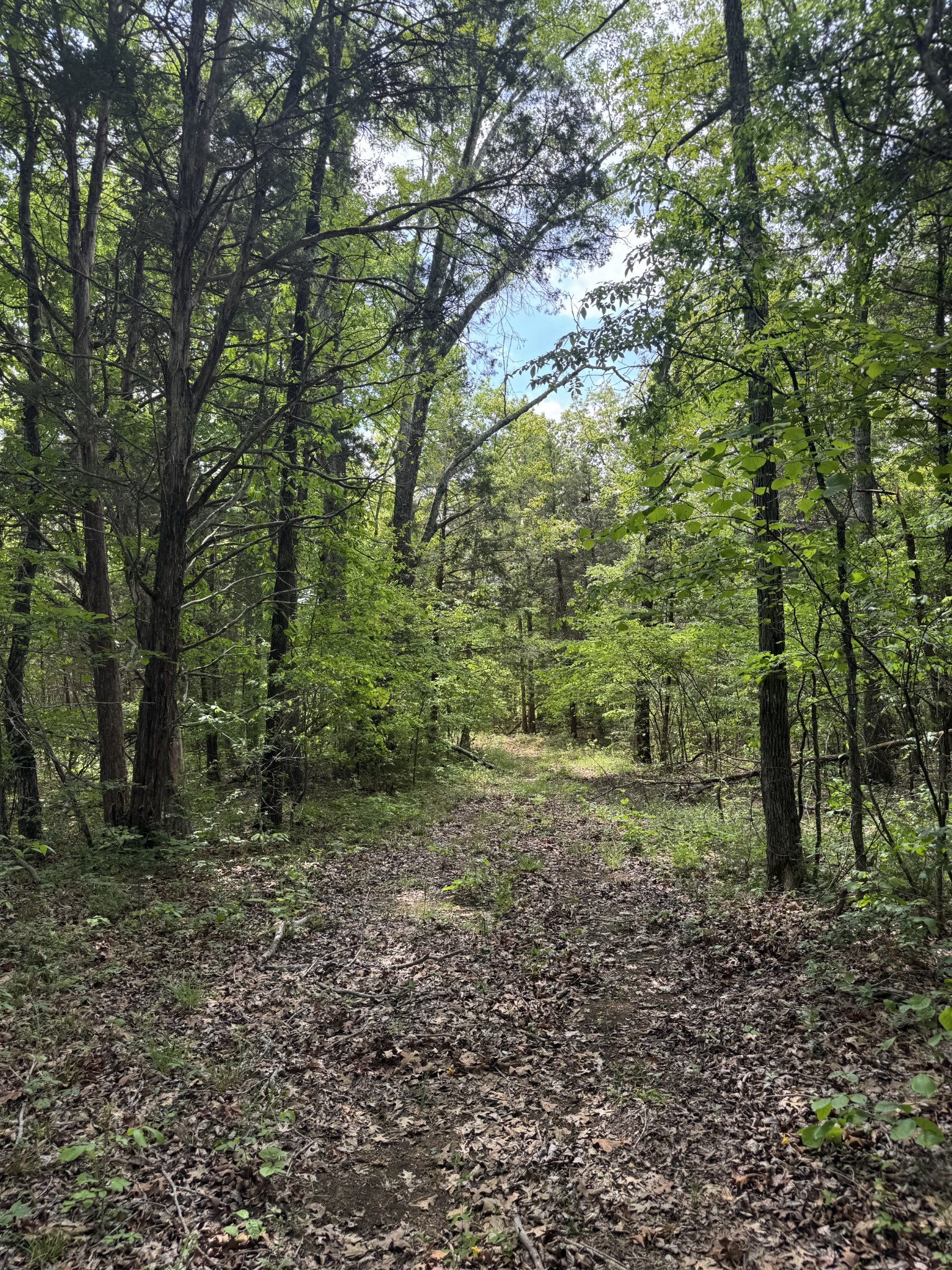 2099 Gentle Road Lewisburg TN 37091