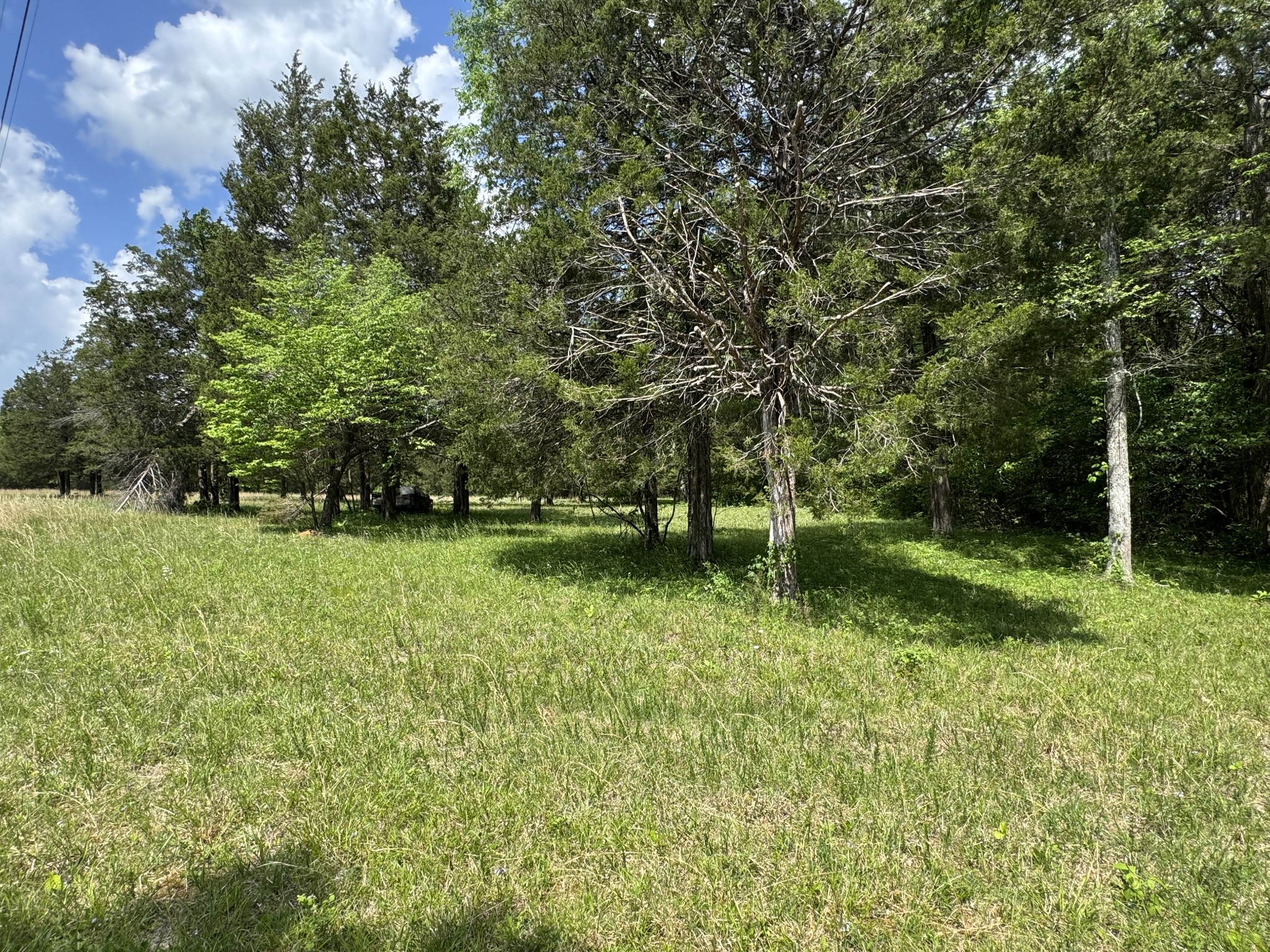 2099 Gentle Road Lewisburg TN 37091