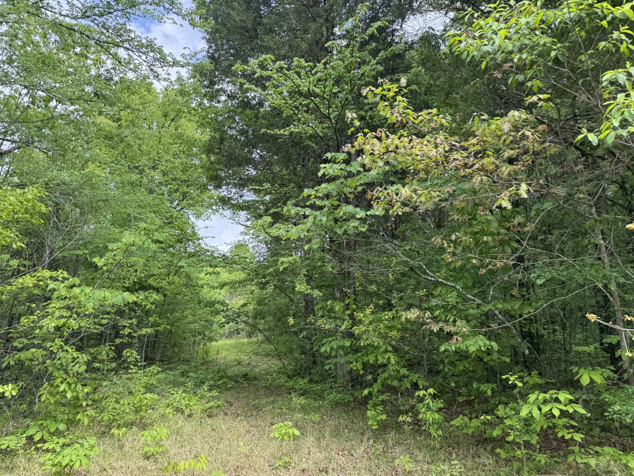 2099 Gentle Road Lewisburg TN 37091