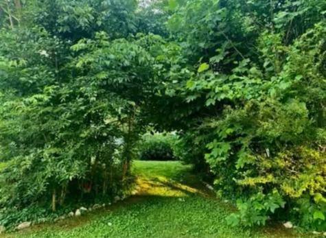 205 Experiment Lane Columbia TN 38401