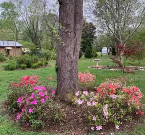 205 Experiment Lane Columbia TN 38401