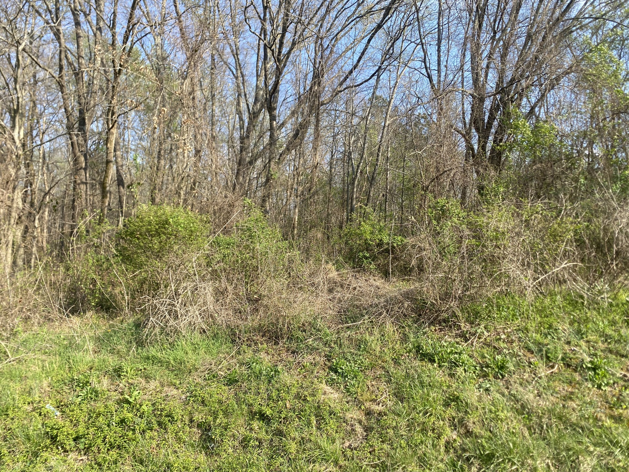 0 Mountain View Drive Morrison TN 37357