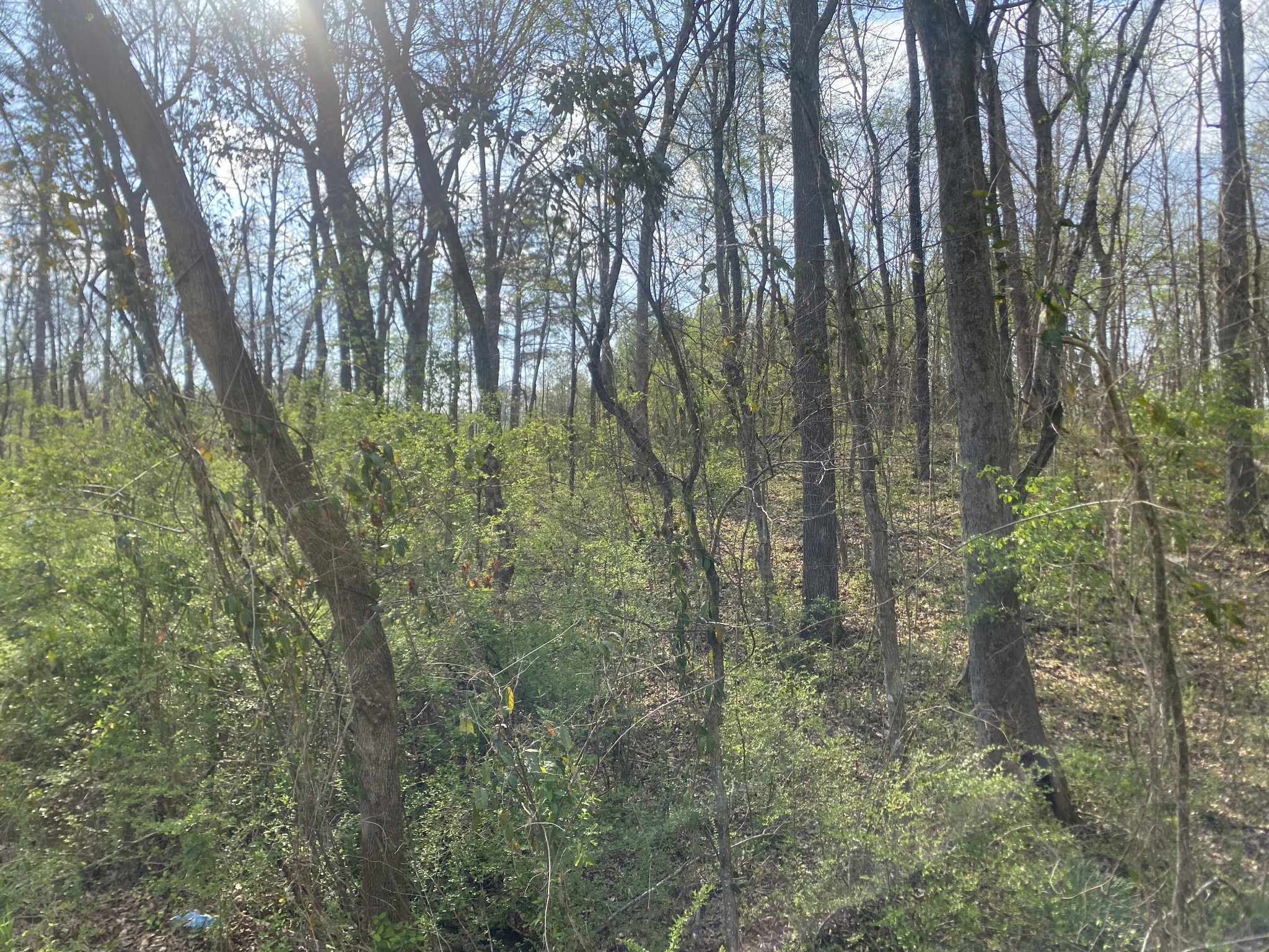 0 Mountain View Drive Morrison TN 37357