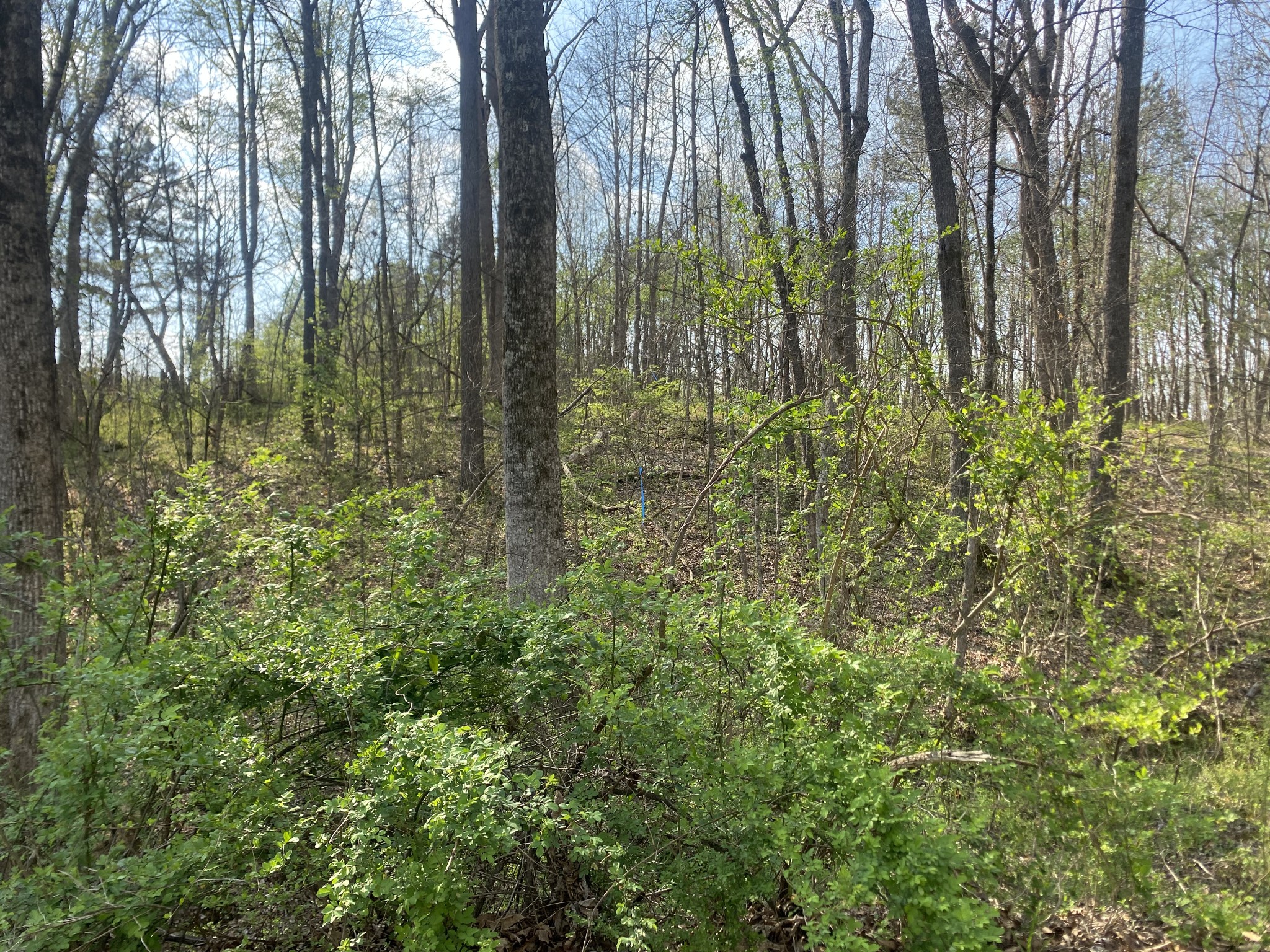 0 Mountain View Drive Morrison TN 37357