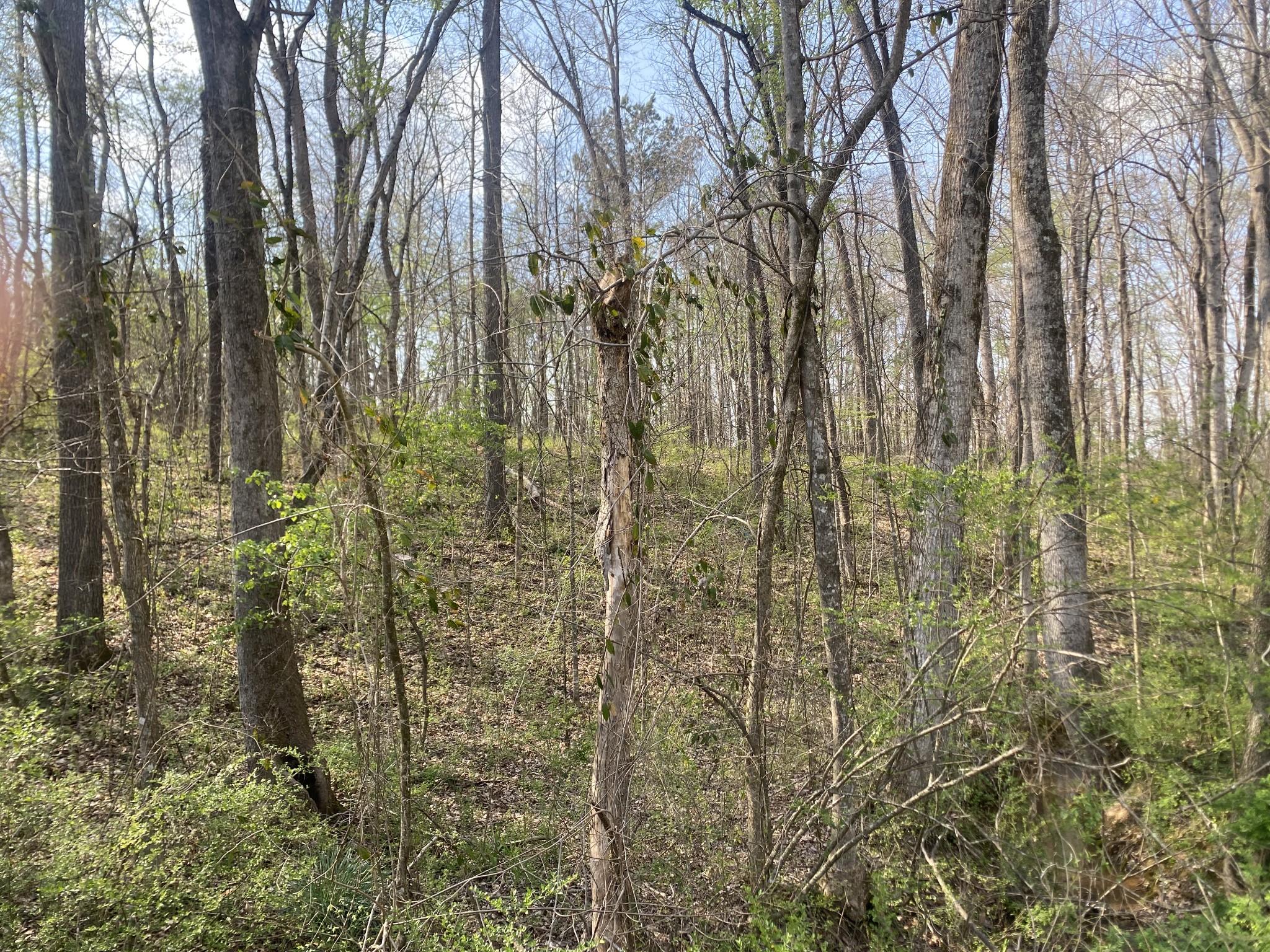 0 Mountain View Drive Morrison TN 37357