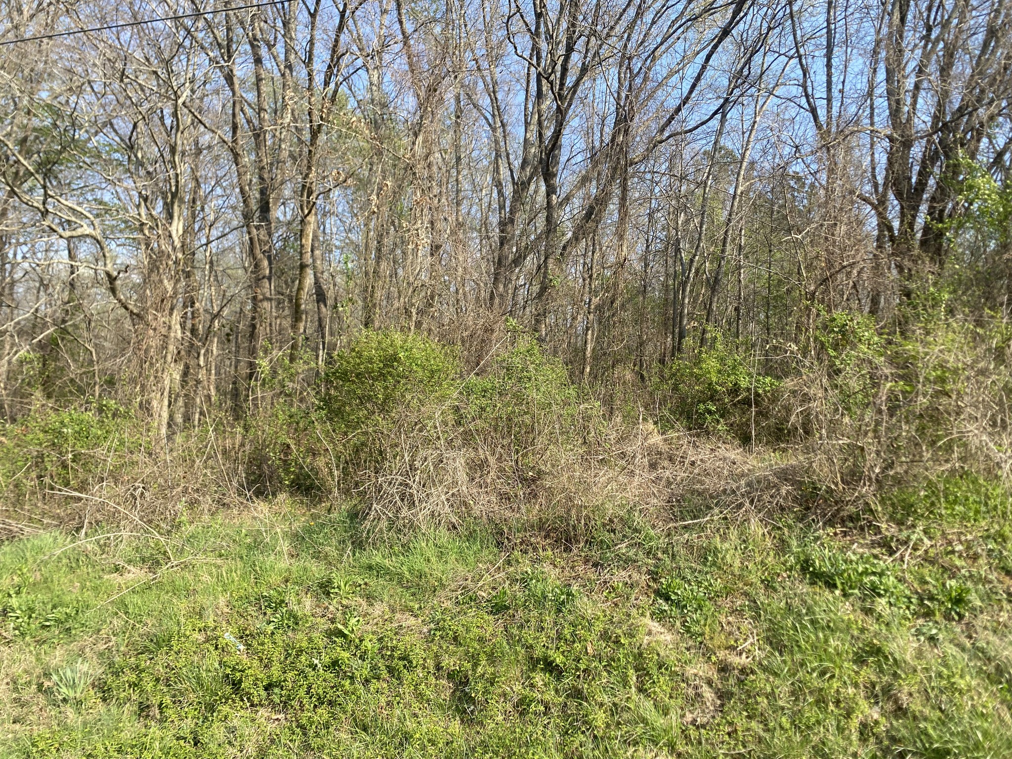 0 Mountain View Drive Morrison TN 37357