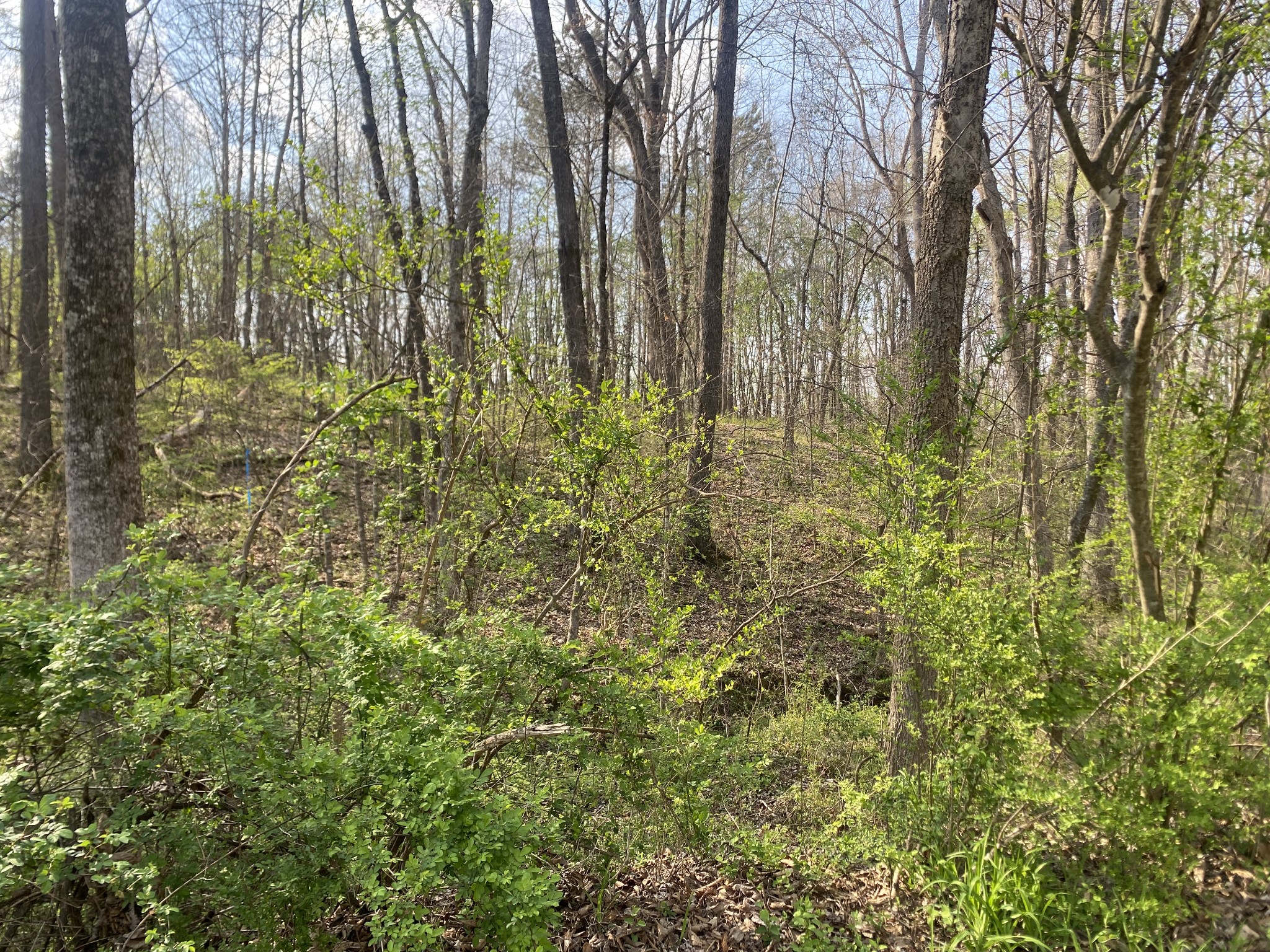 0 Mountain View Drive Morrison TN 37357