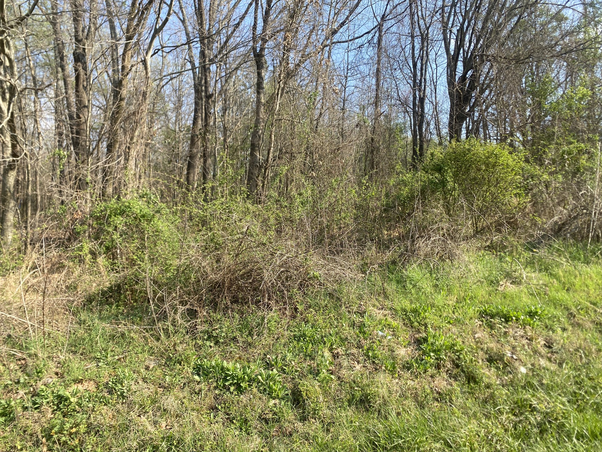0 Mountain View Drive Morrison TN 37357