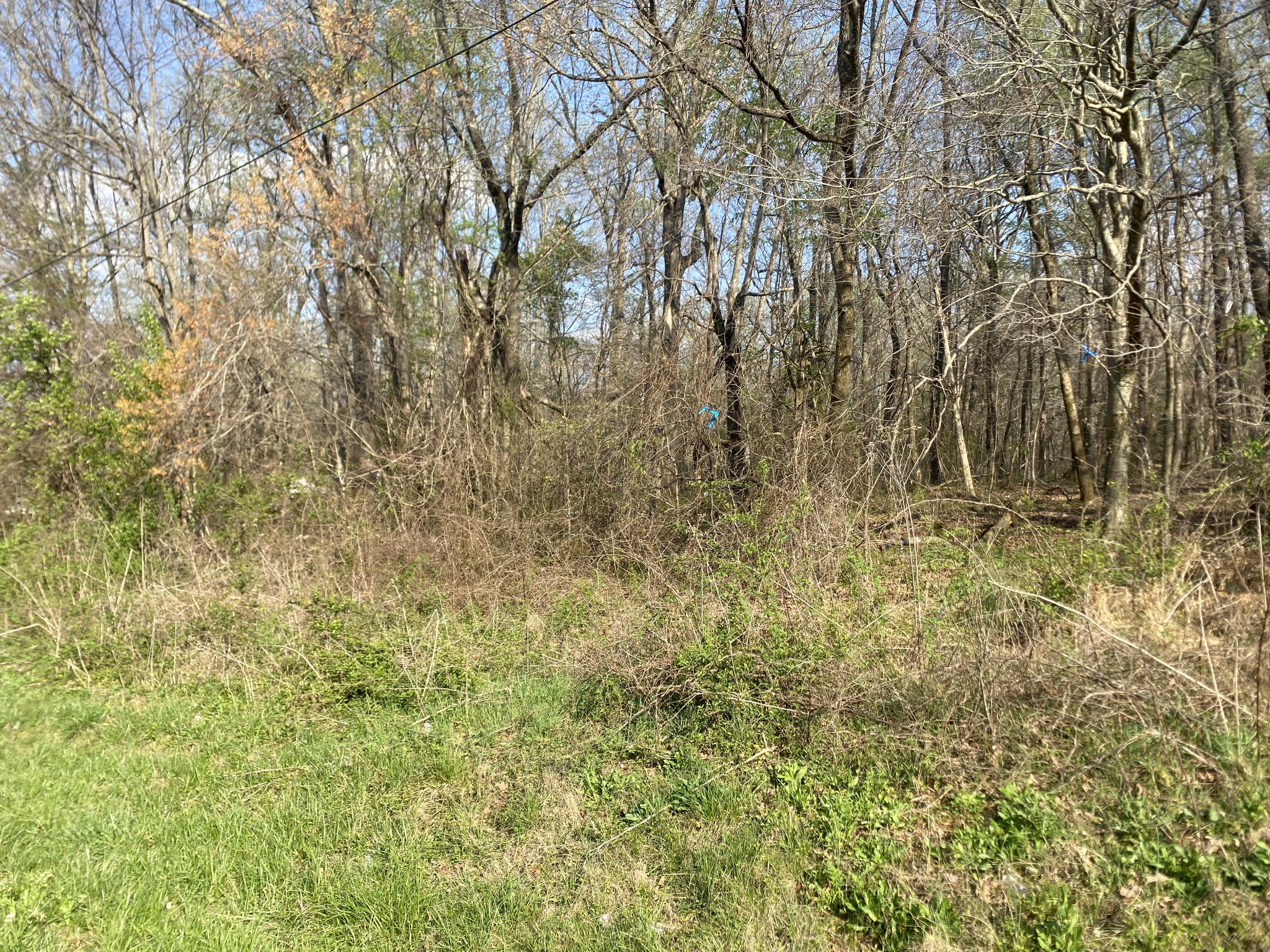 0 Mountain View Drive Morrison TN 37357