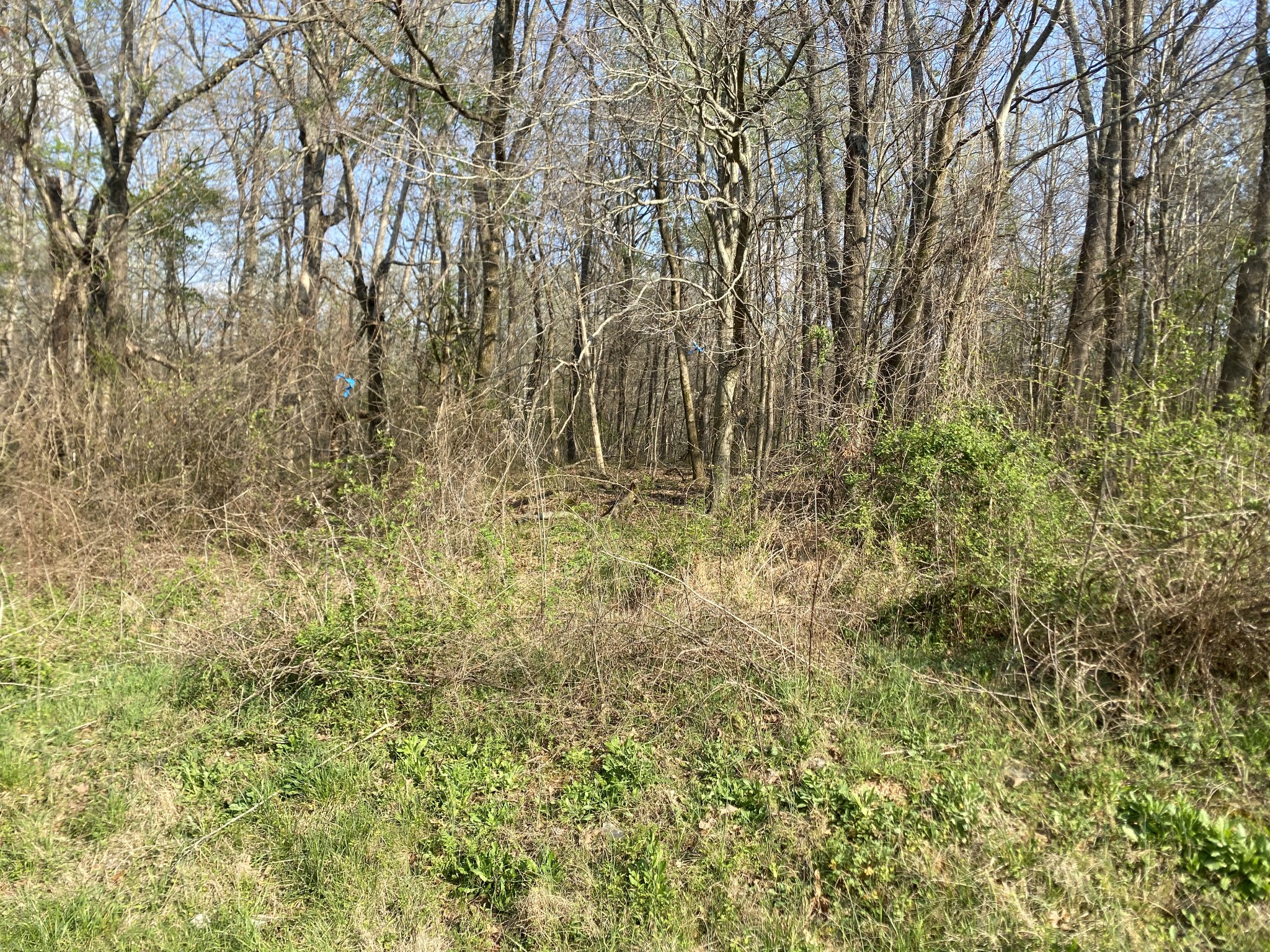 0 Mountain View Drive Morrison TN 37357