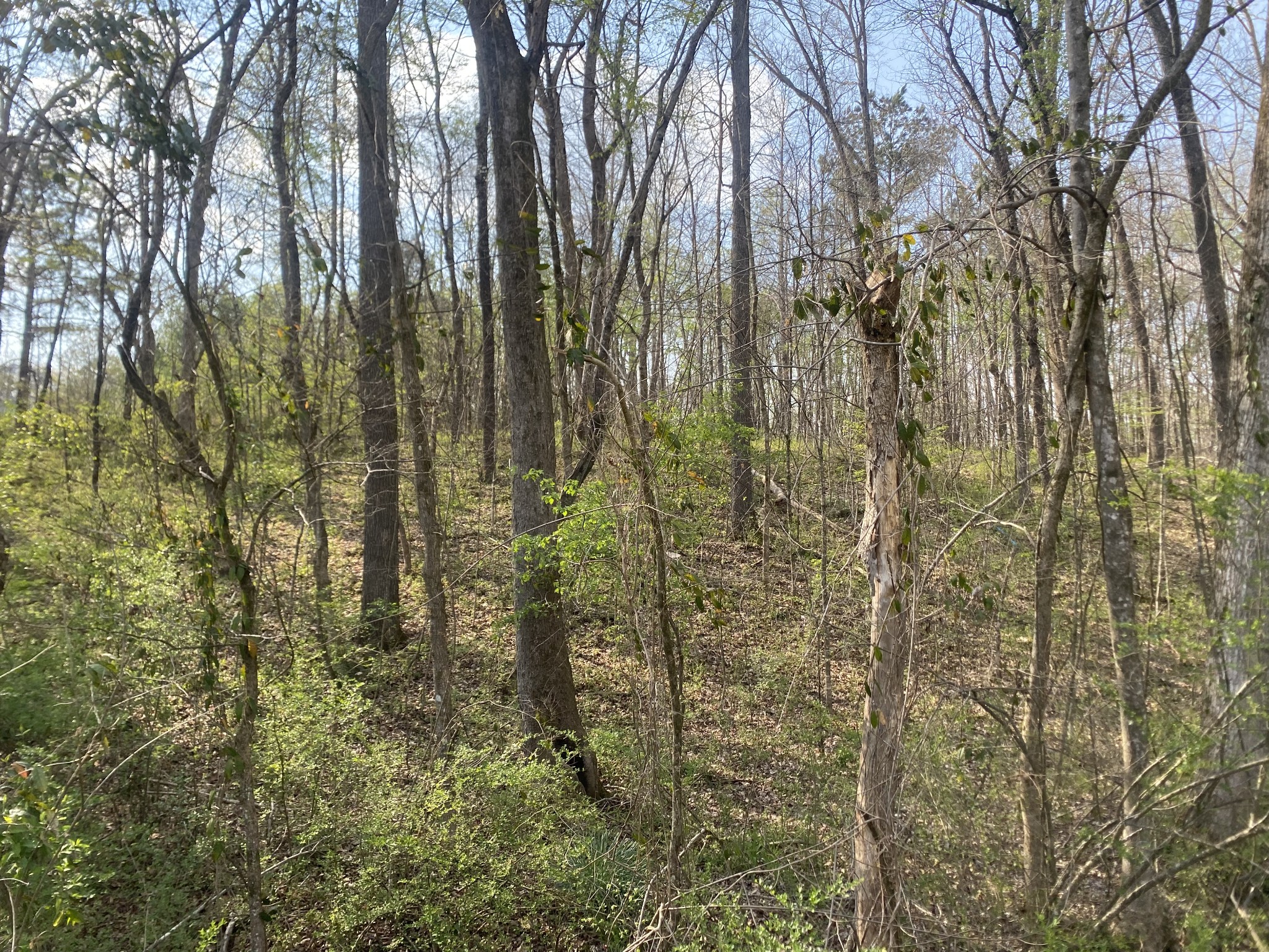 0 Mountain View Drive Morrison TN 37357