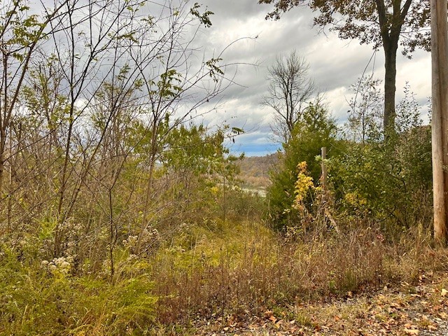 0 Schelley Road Gainesboro TN 38562
