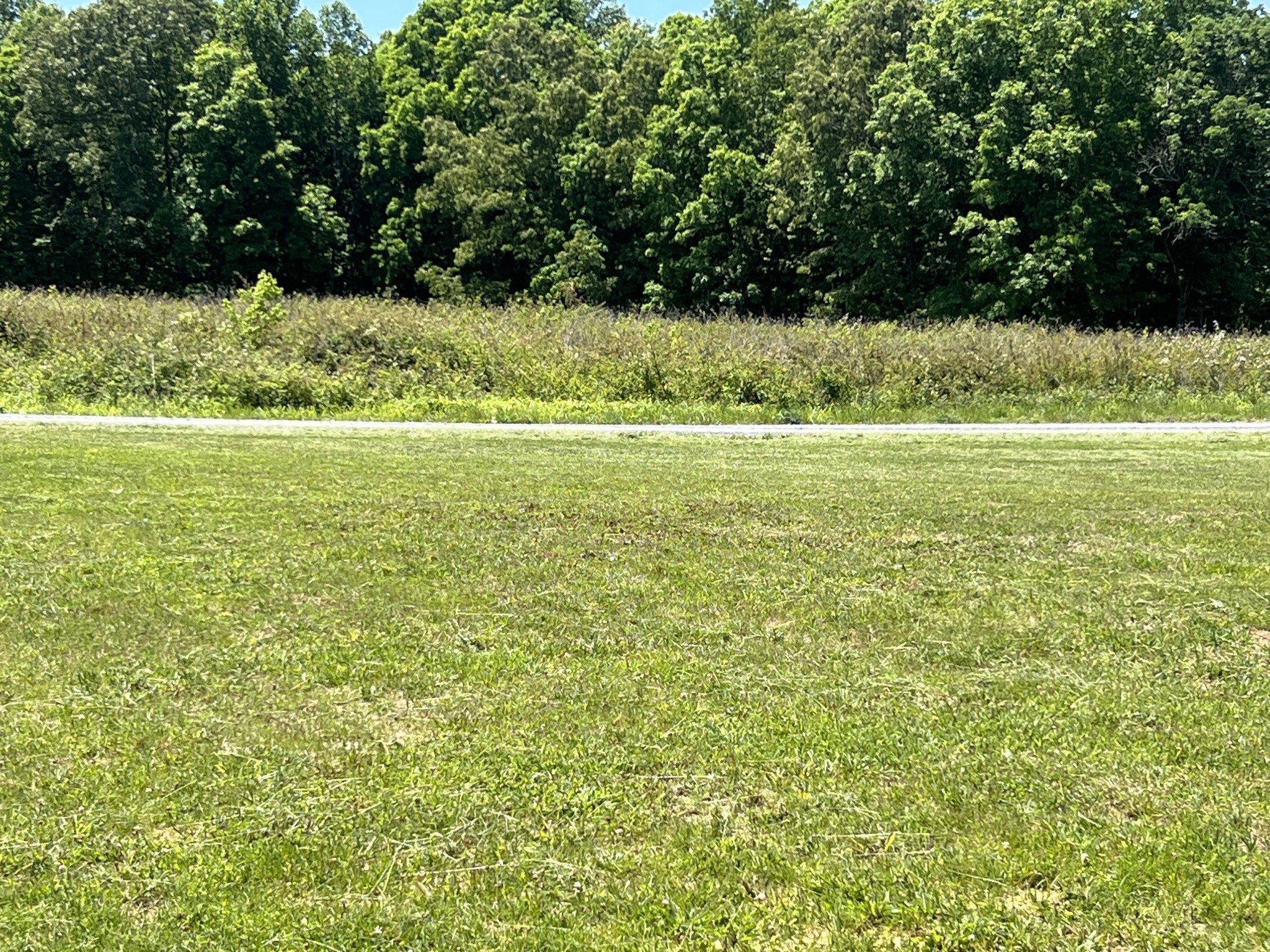 235 Ralph Spivey Lane, S Gainesboro TN 38562