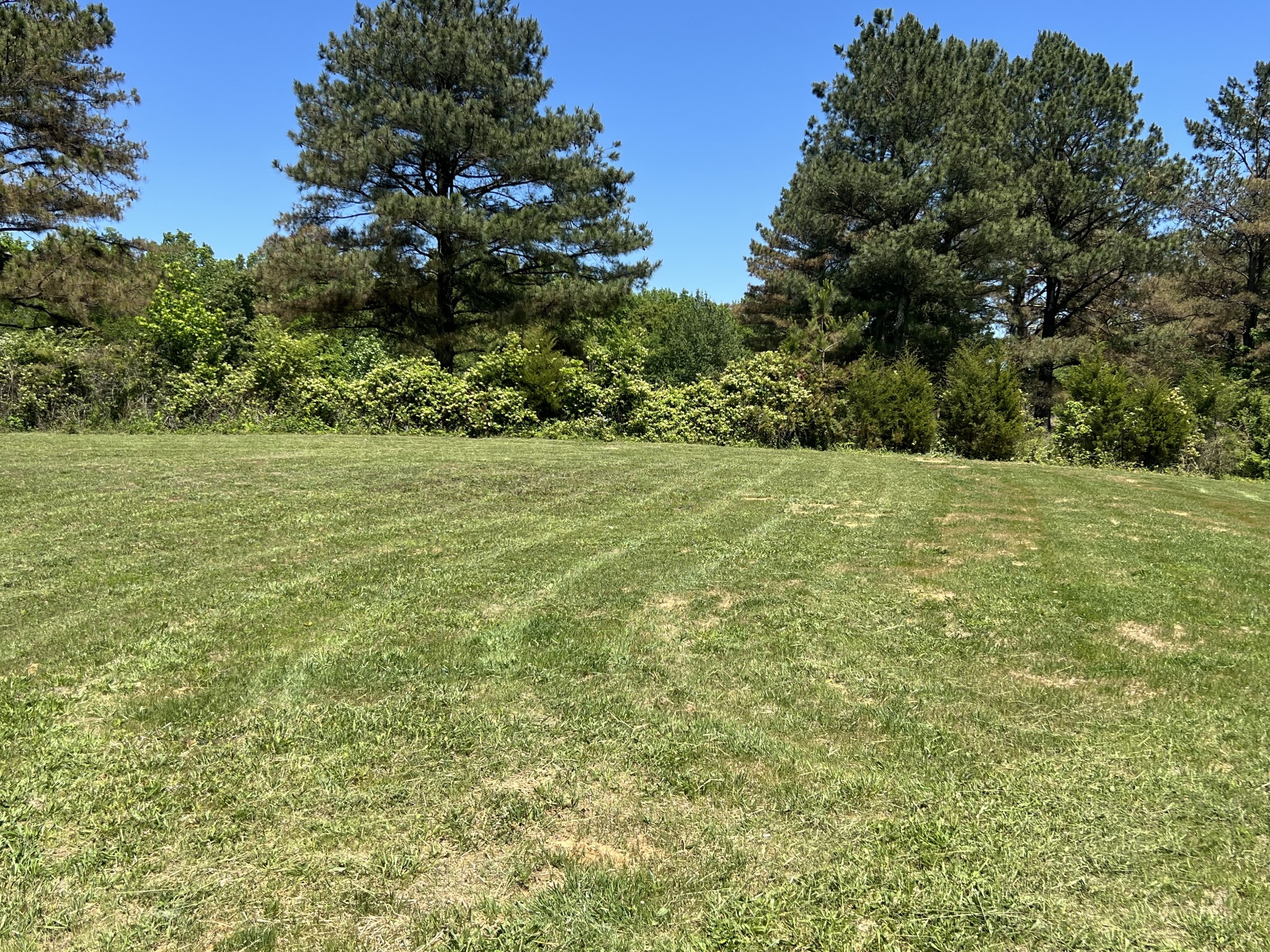 235 Ralph Spivey Lane, S Gainesboro TN 38562