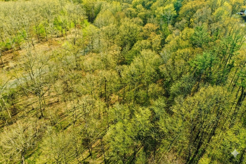 100 Sunset Ridge Waverly TN 37185