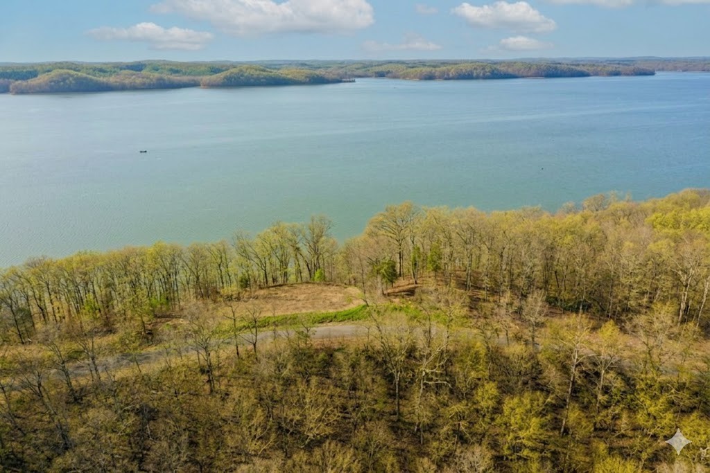 100 Sunset Ridge Waverly TN 37185