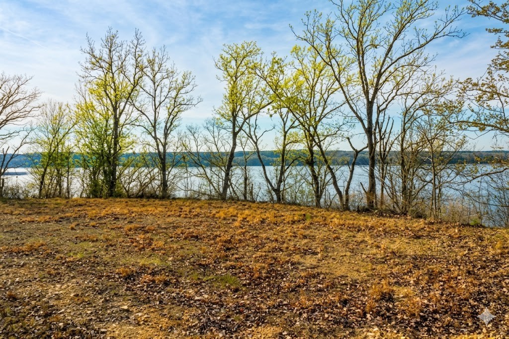 100 Sunset Ridge Waverly TN 37185