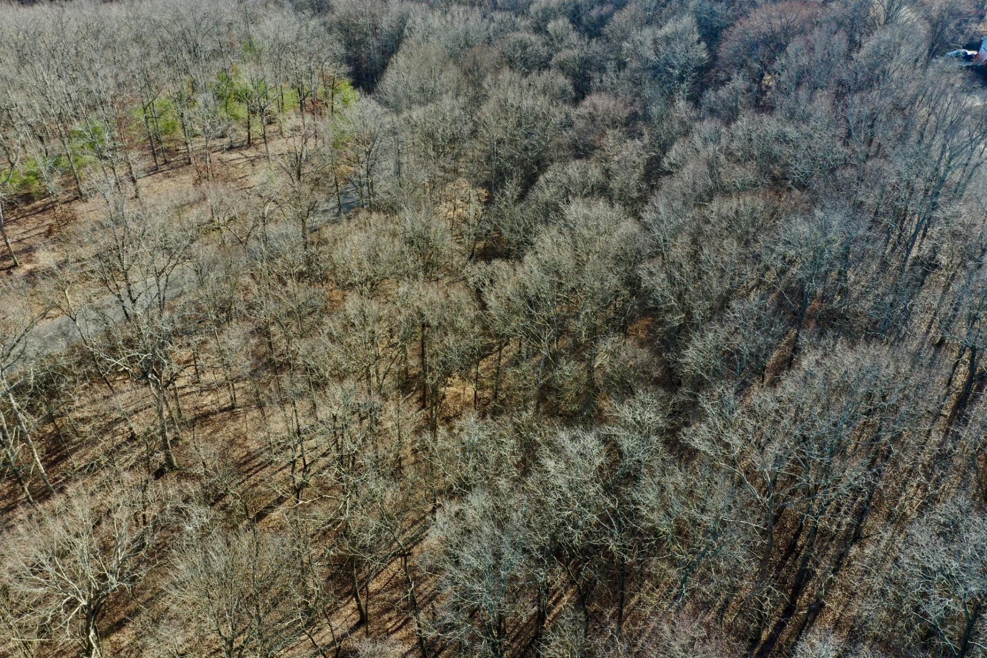 100 Sunset Ridge Waverly TN 37185