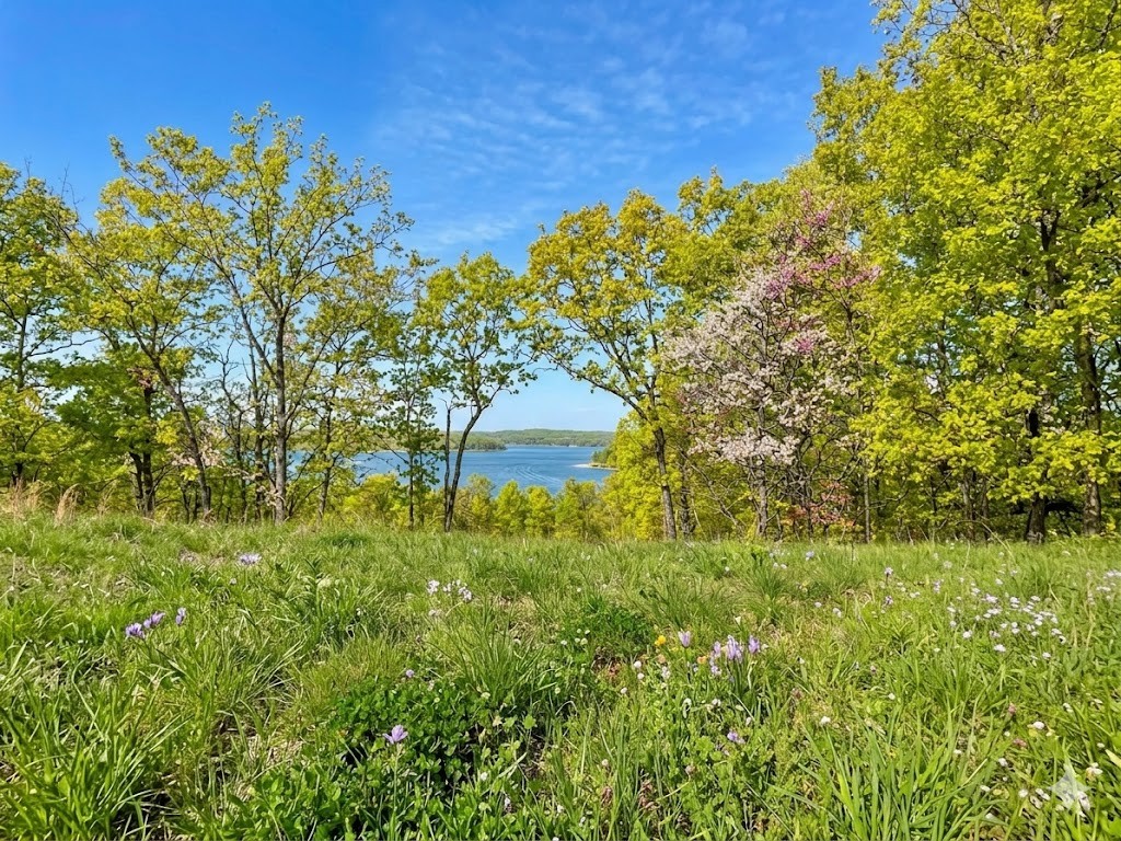 100 Sunset Ridge Waverly TN 37185
