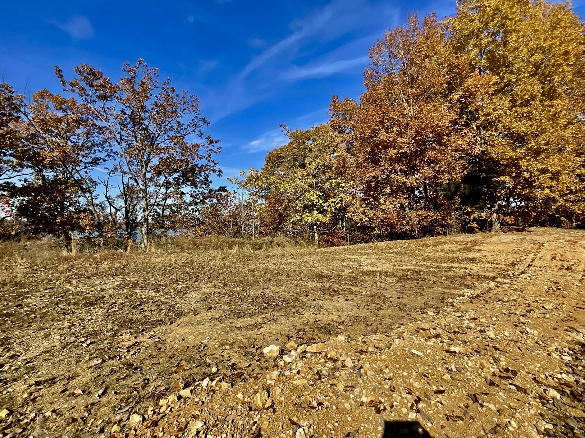 100 Sunset Ridge Waverly TN 37185