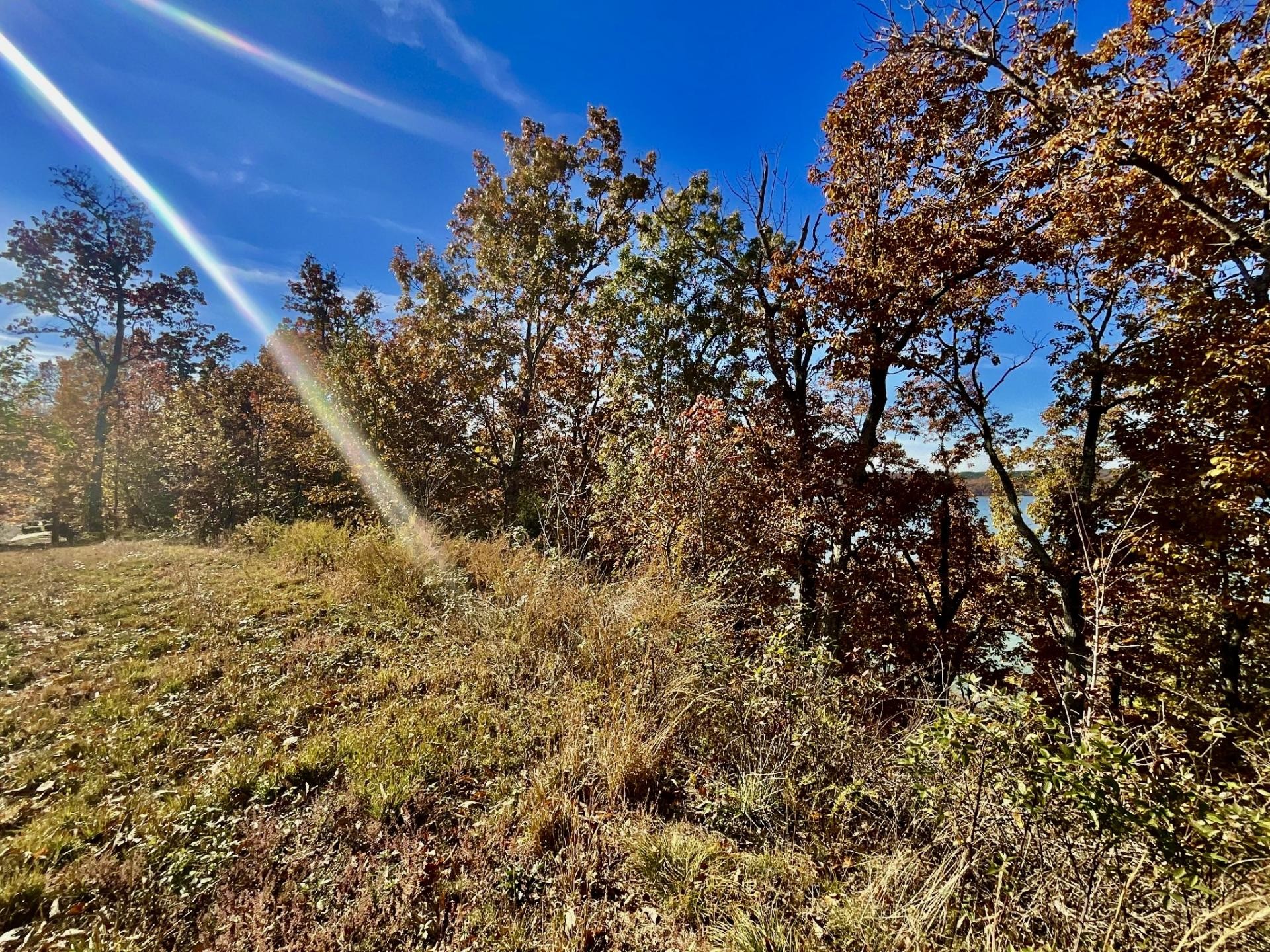 100 Sunset Ridge Waverly TN 37185