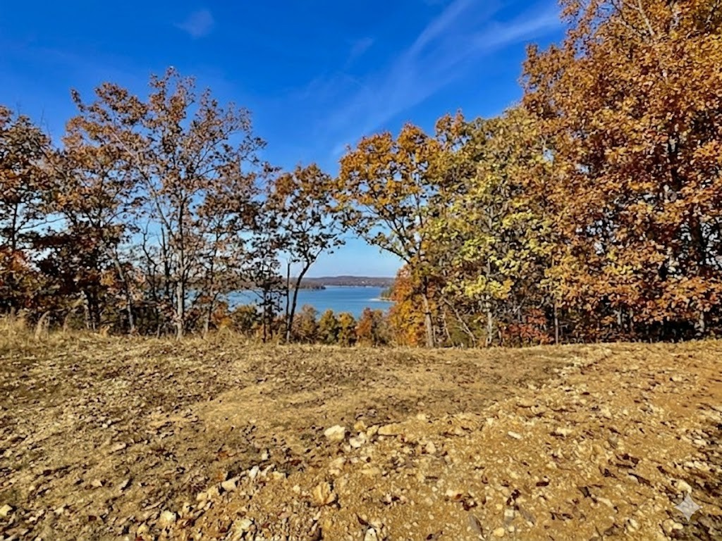 100 Sunset Ridge Waverly TN 37185
