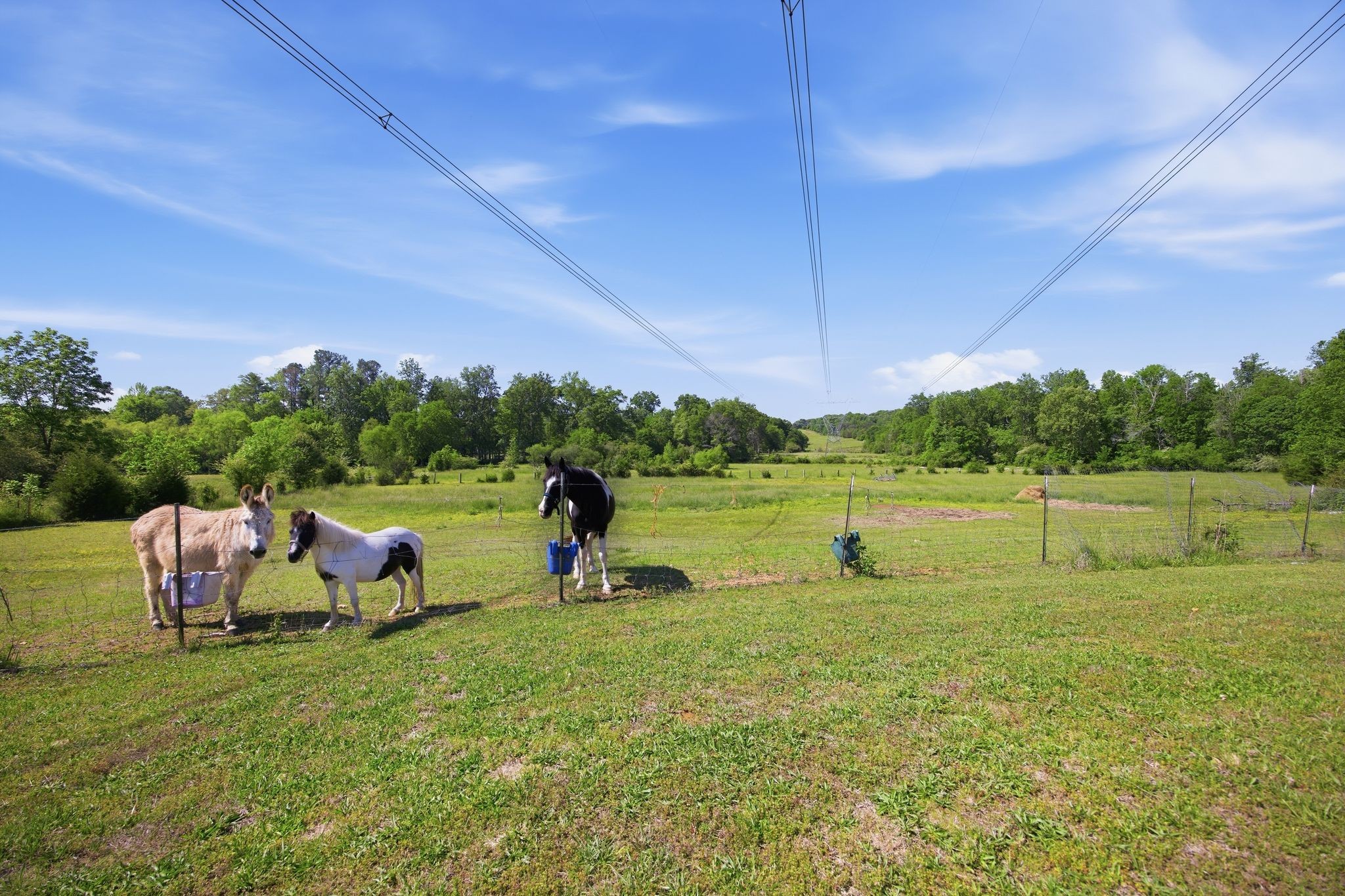 5975 Grasshopper Road Birchwood TN 37308