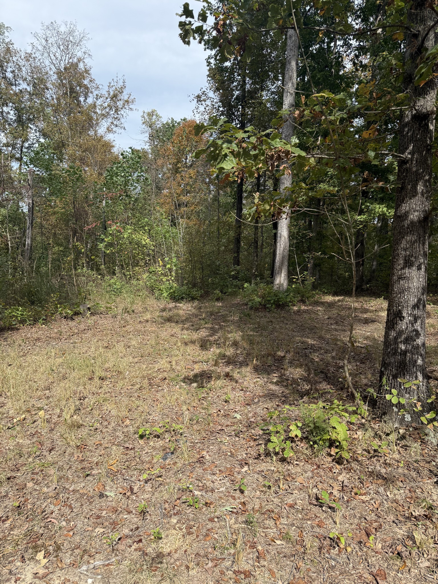 646 Brush Creek Road Lawrenceburg TN 38464