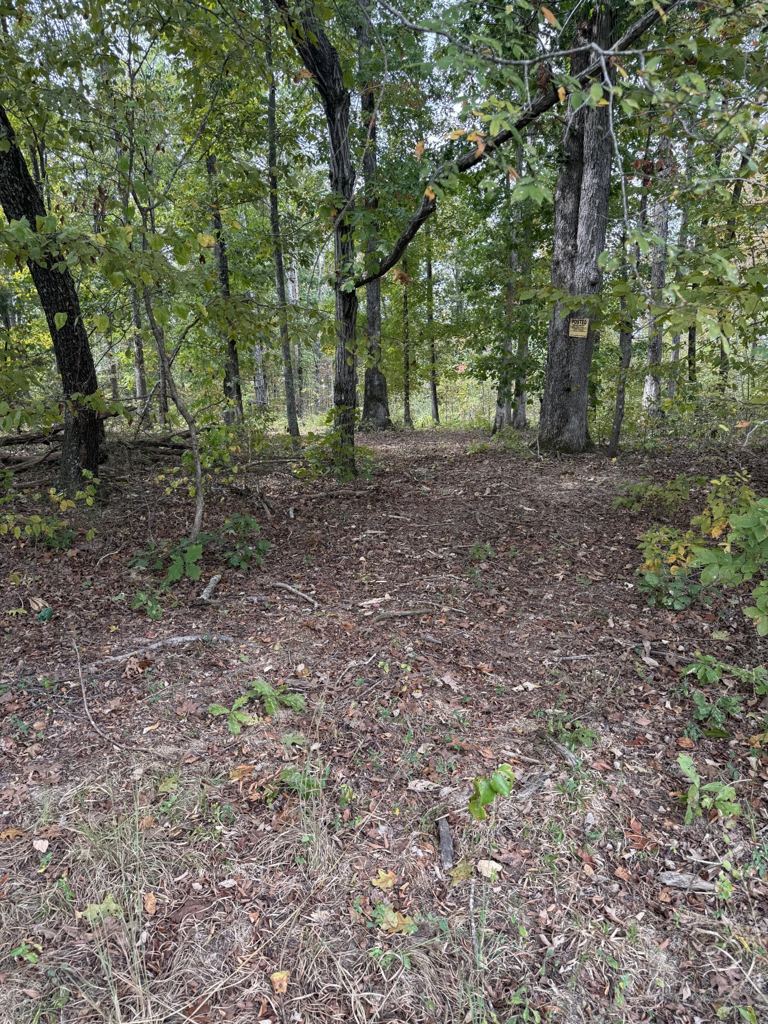 646 Brush Creek Road Lawrenceburg TN 38464