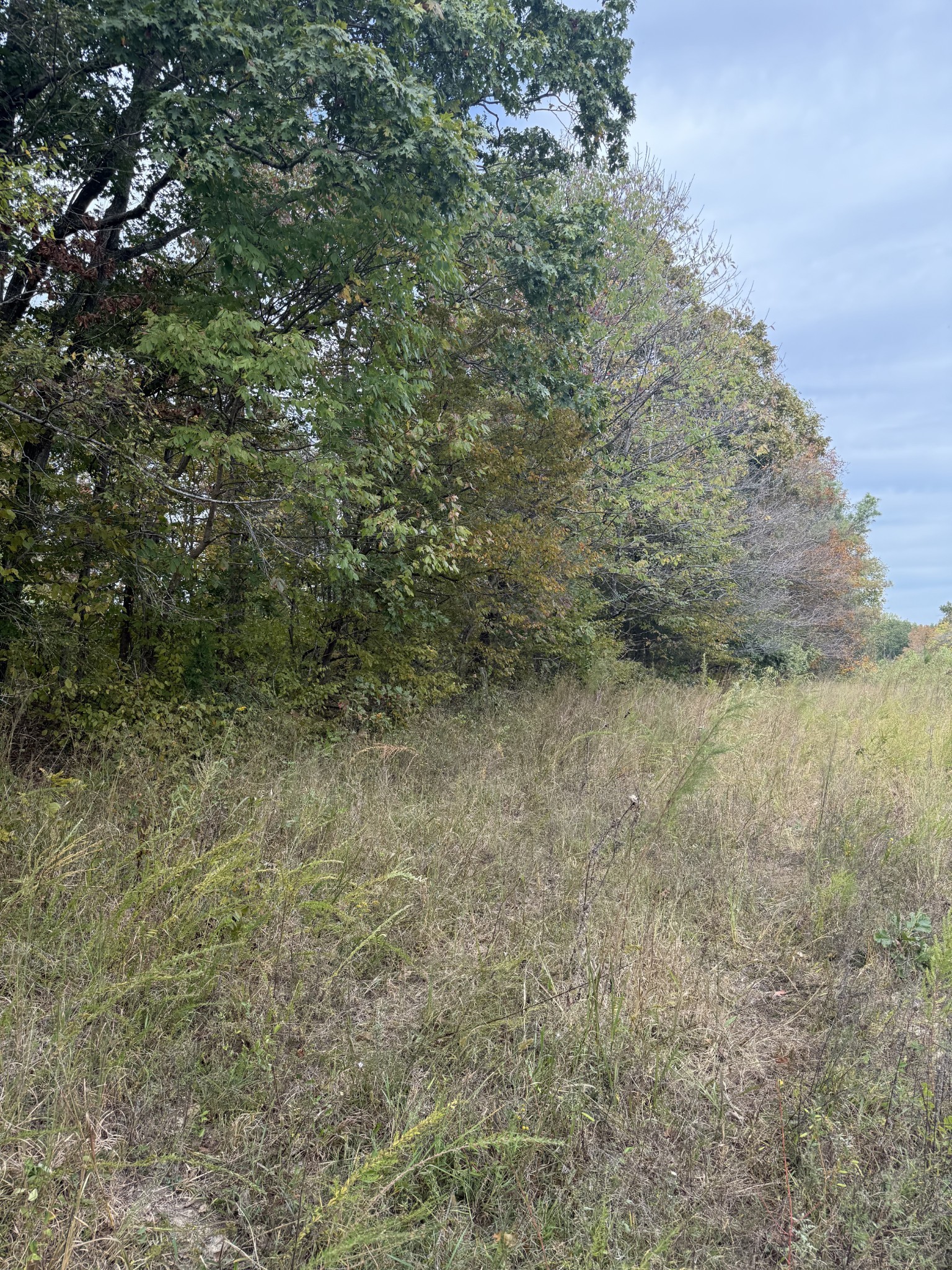 646 Brush Creek Road Lawrenceburg TN 38464
