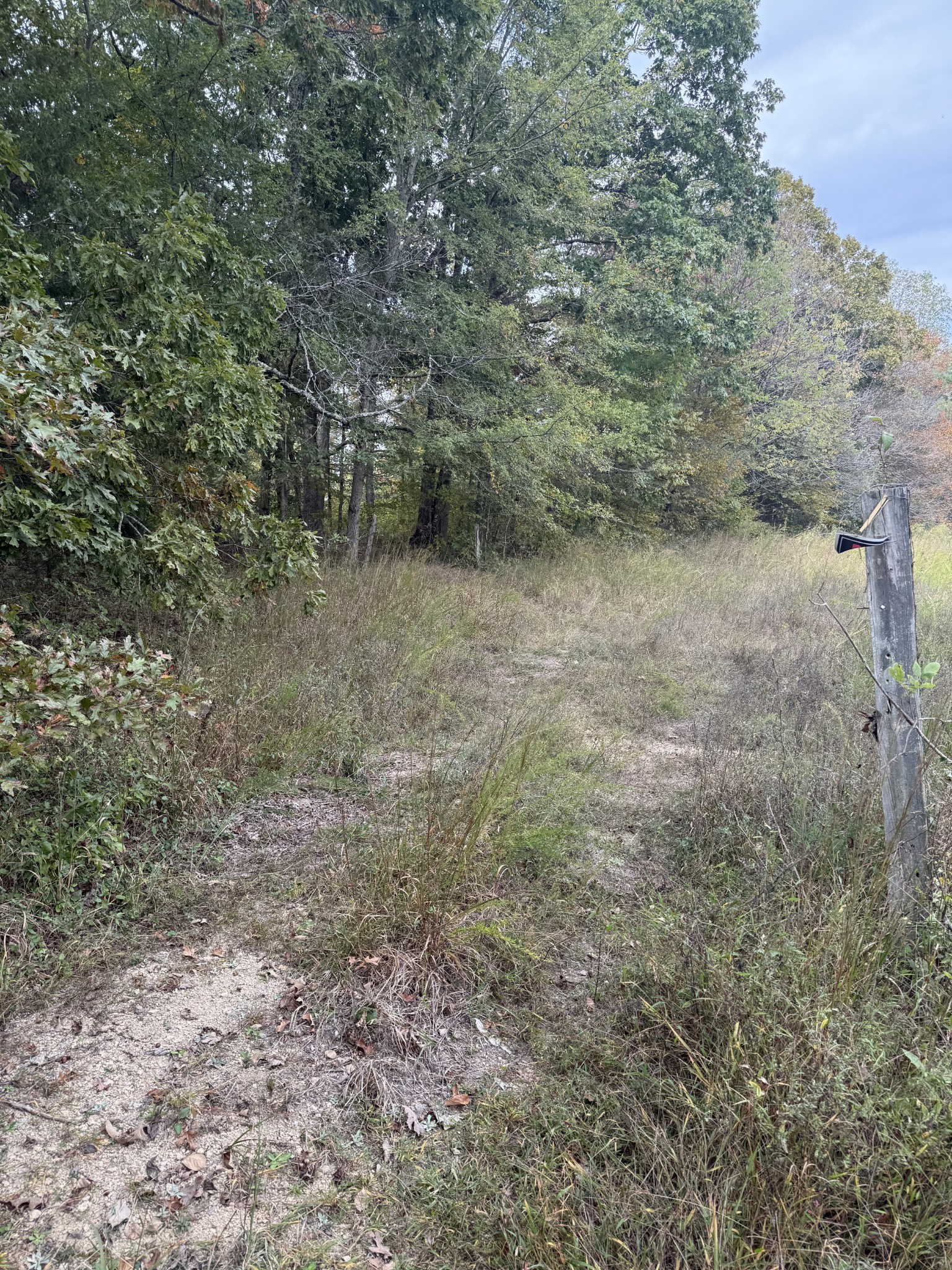 646 Brush Creek Road Lawrenceburg TN 38464