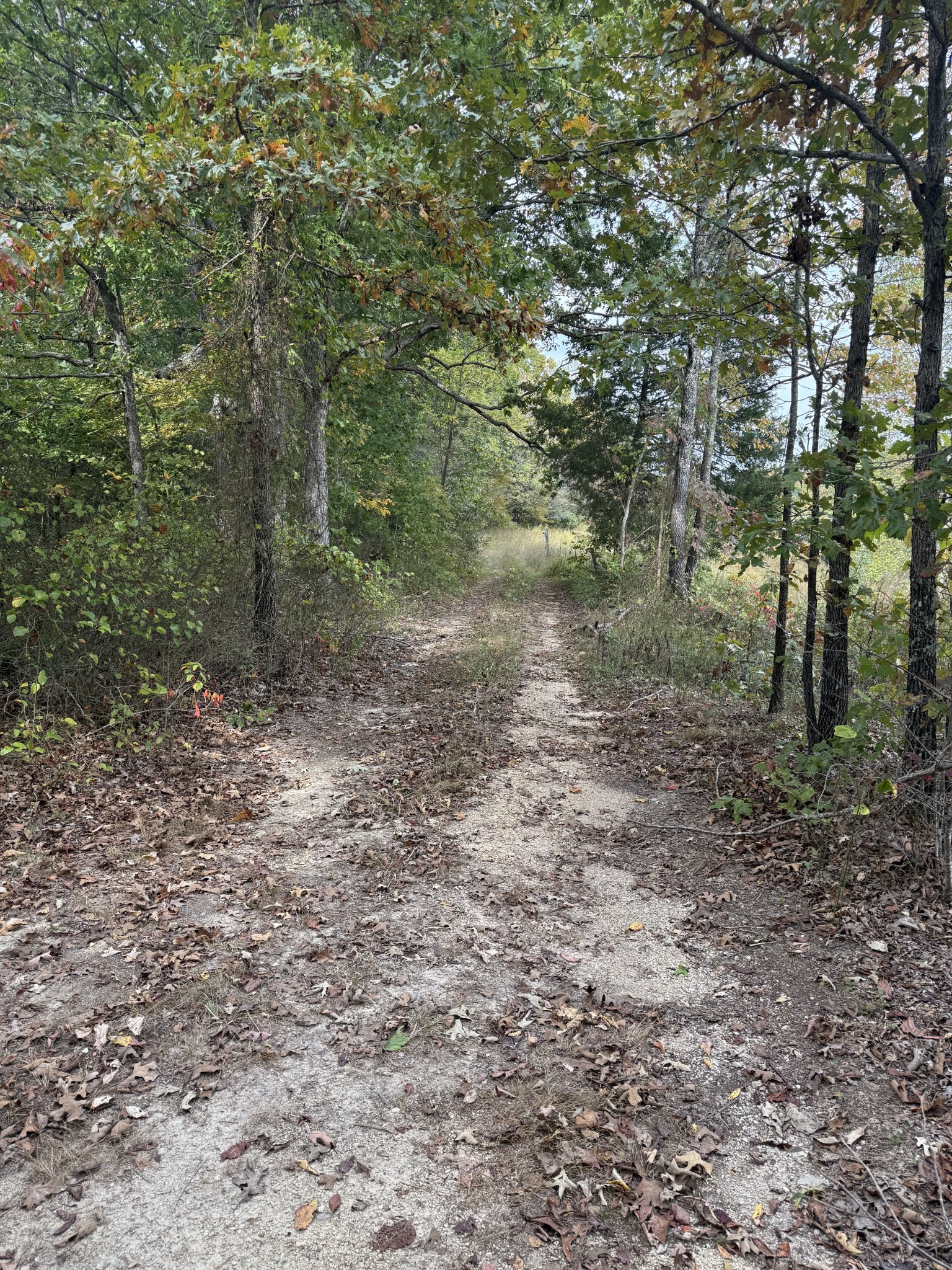 646 Brush Creek Road Lawrenceburg TN 38464
