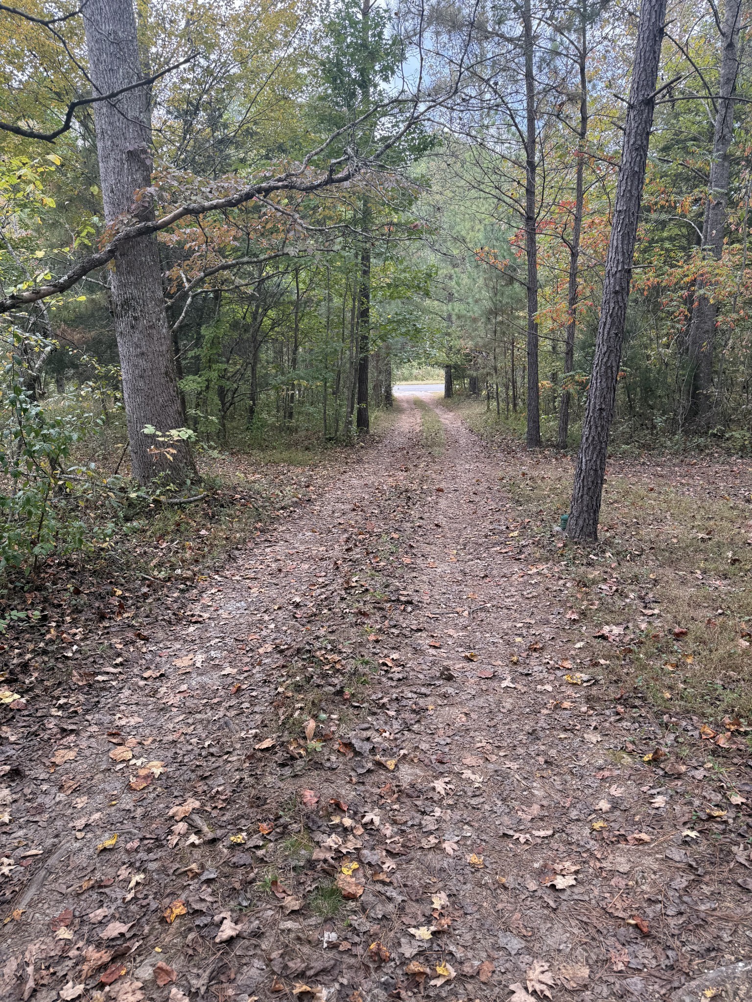 646 Brush Creek Road Lawrenceburg TN 38464