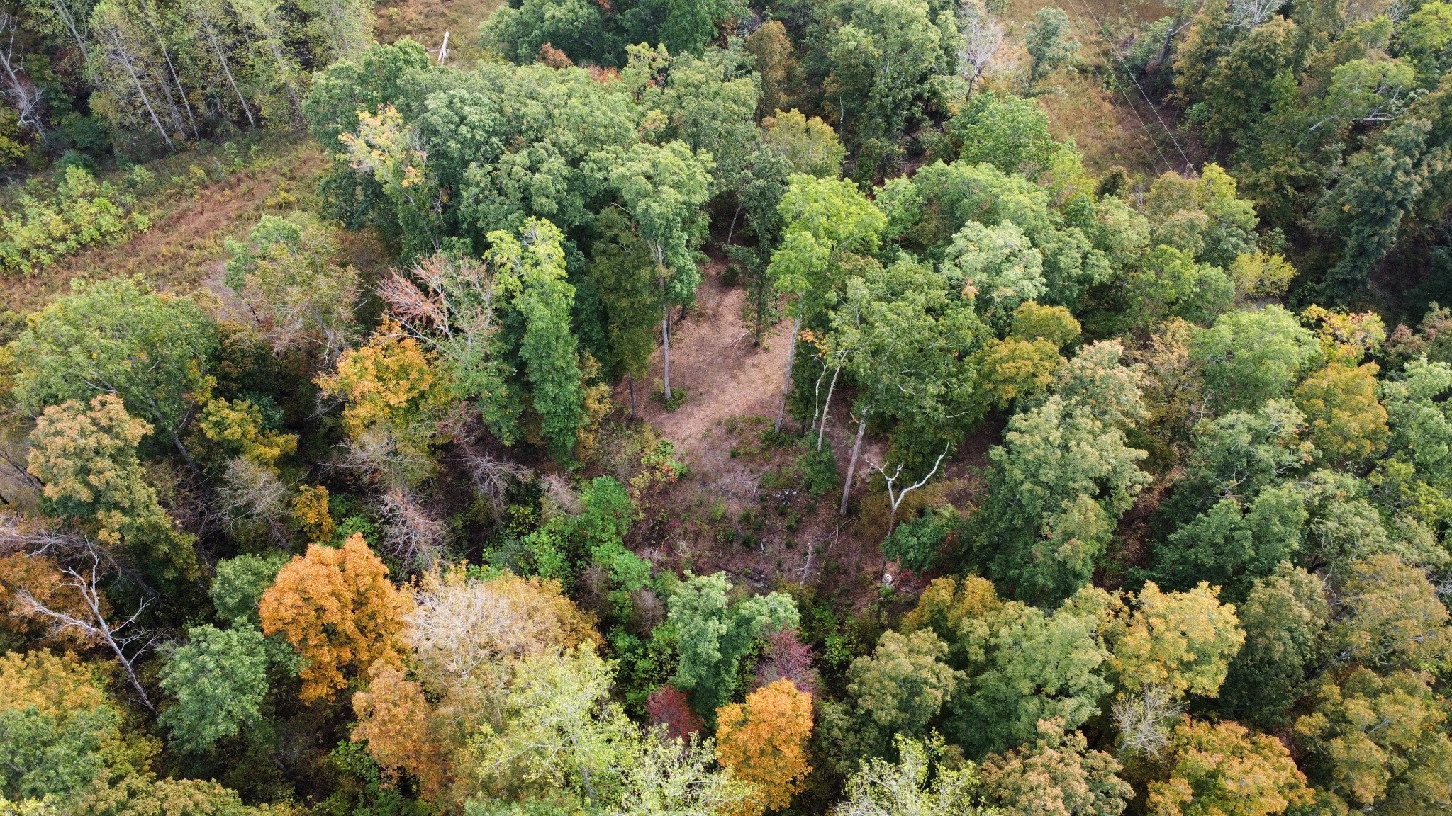 646 Brush Creek Road Lawrenceburg TN 38464