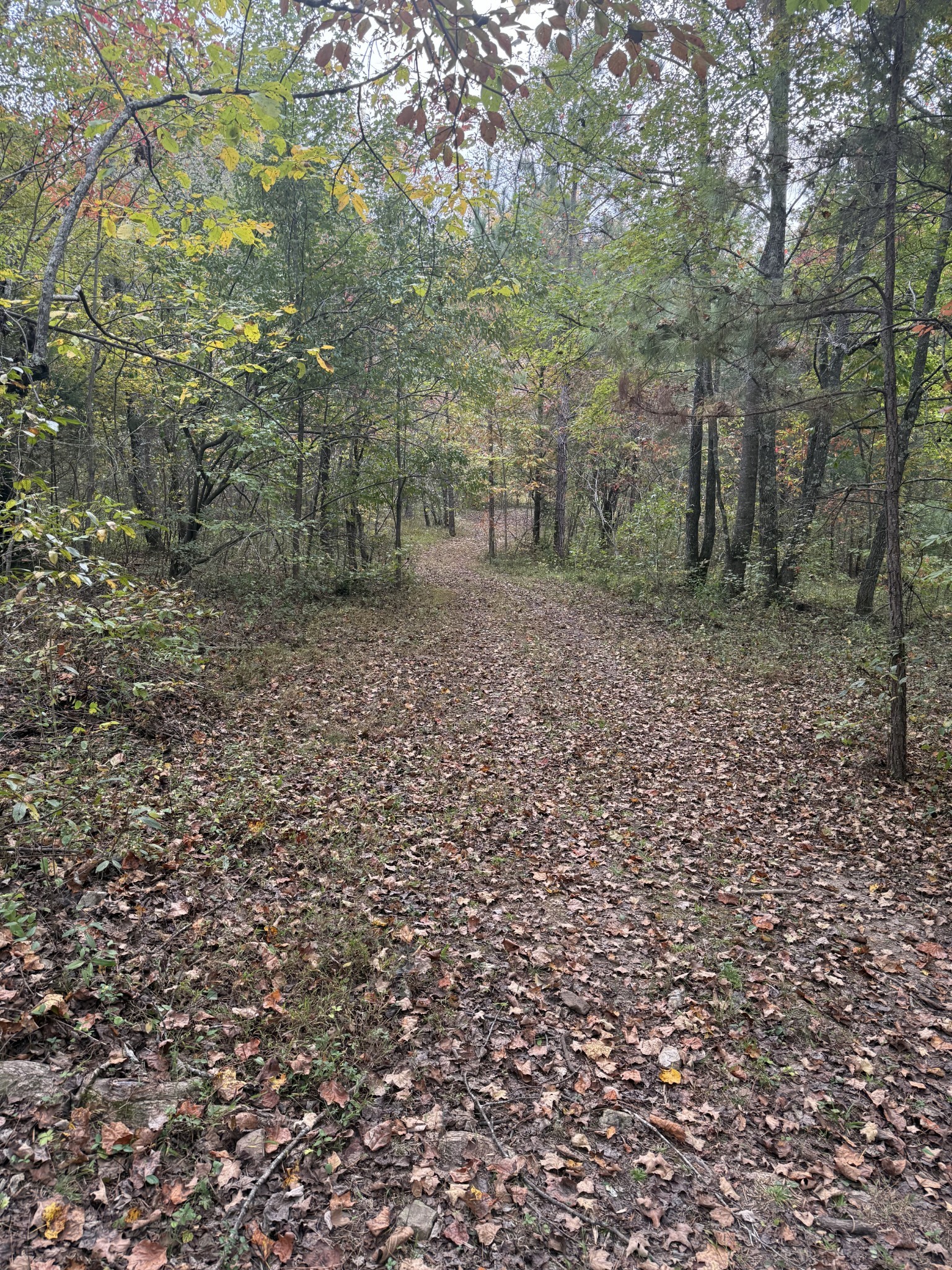 646 Brush Creek Road Lawrenceburg TN 38464