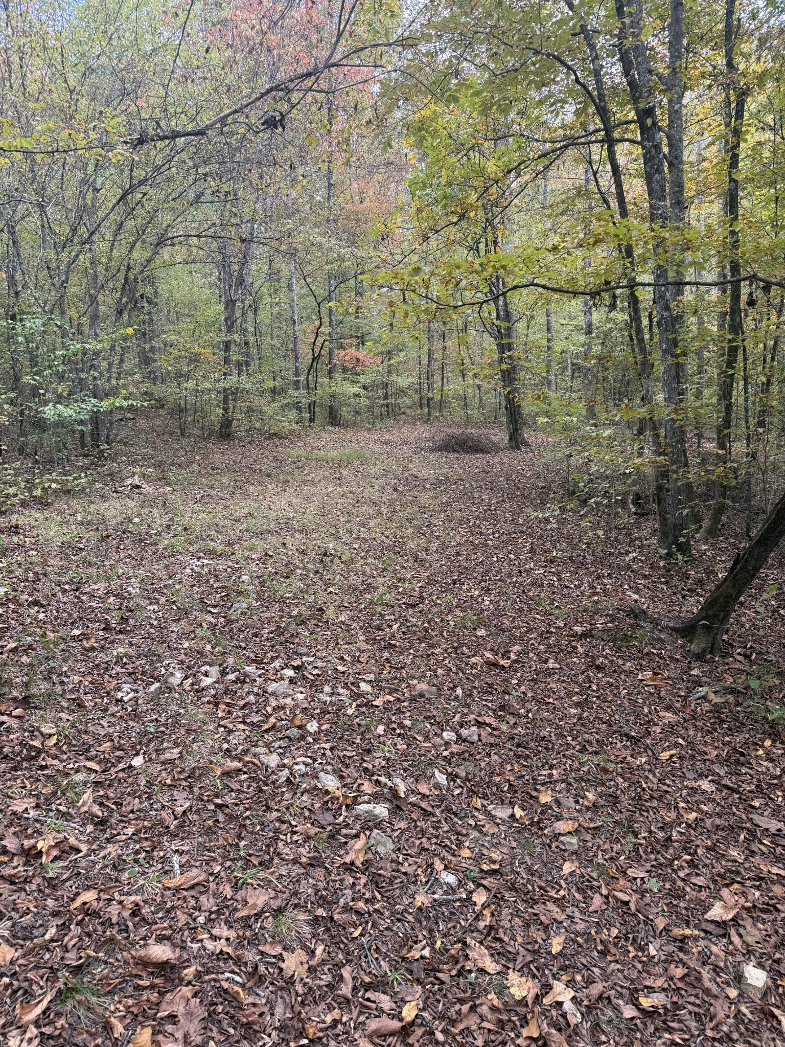 646 Brush Creek Road Lawrenceburg TN 38464