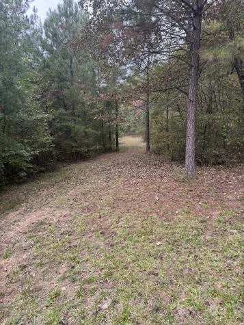 646 Brush Creek Road Lawrenceburg TN 38464
