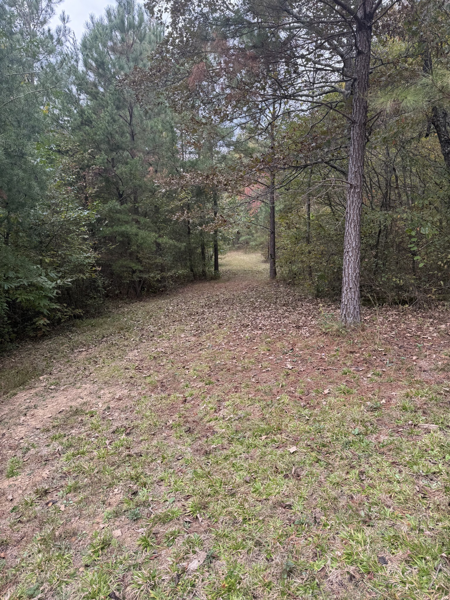 646 Brush Creek Road Lawrenceburg TN 38464