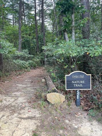 1651 Lake Louisa Loop Monteagle TN 37356