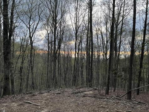 0 Honeybee Court Jasper TN 37347