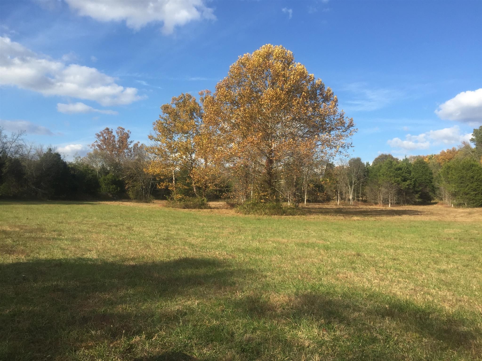 8285 Haley Road College Grove TN 37046