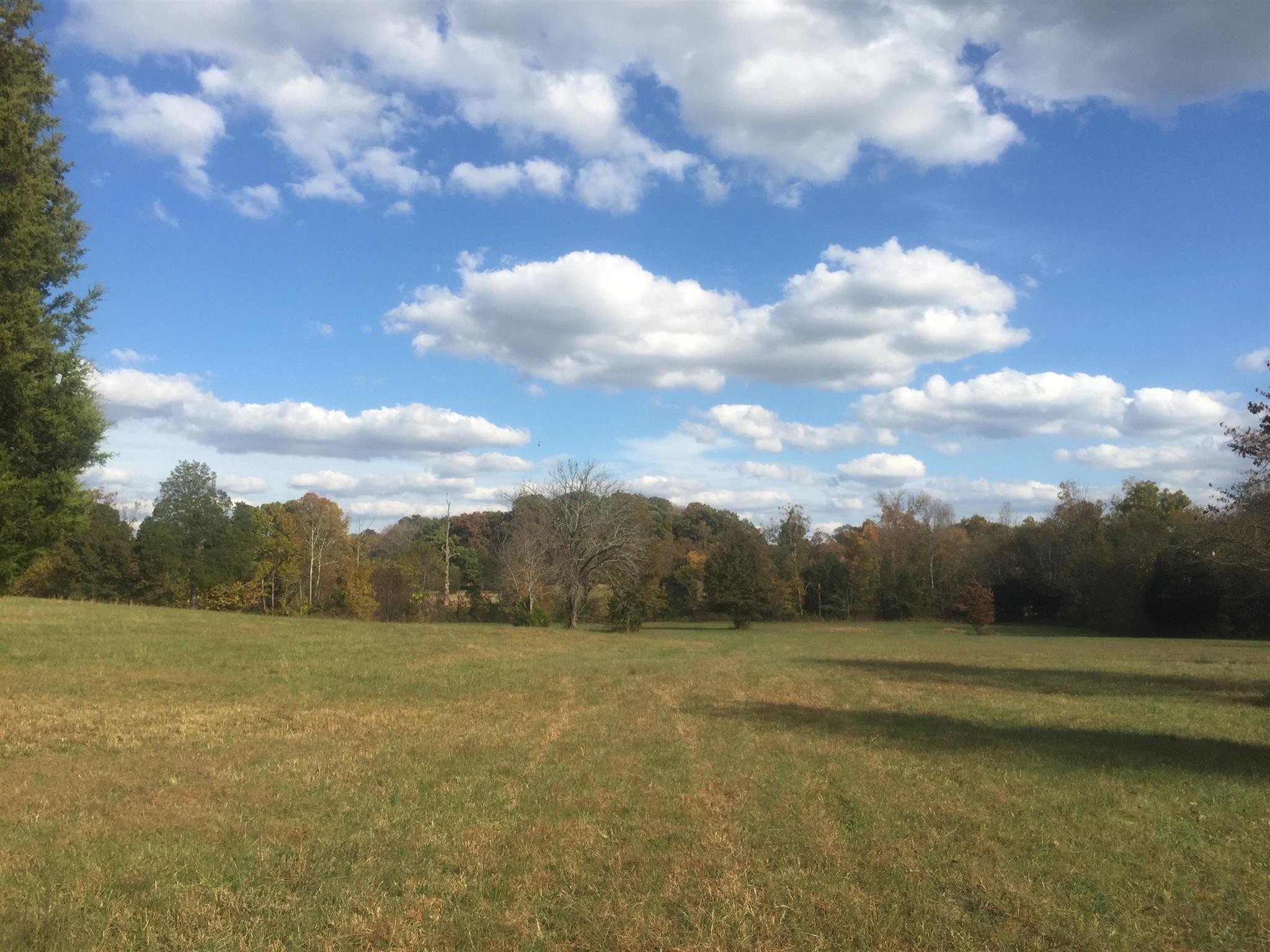 8285 Haley Road College Grove TN 37046