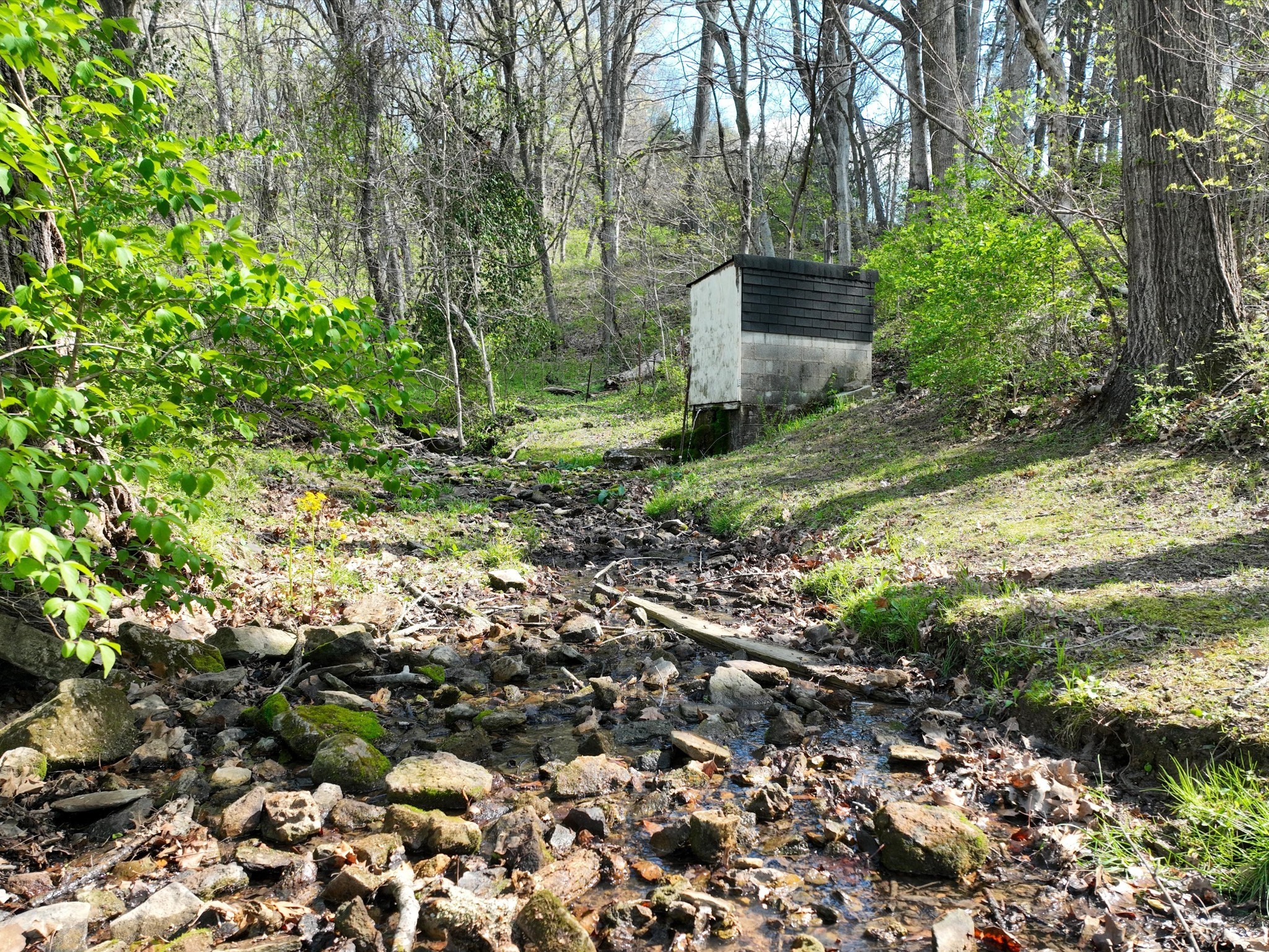 1454 Johnson Road Lewisburg TN 37091