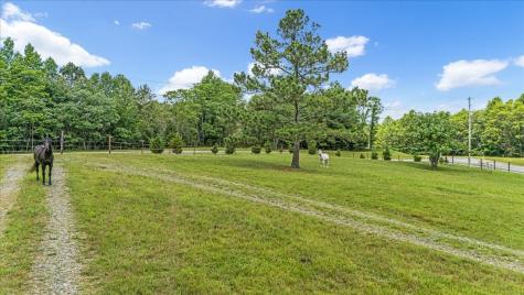 1085 Thunder Ridge Drive South Pittsburg TN 37380