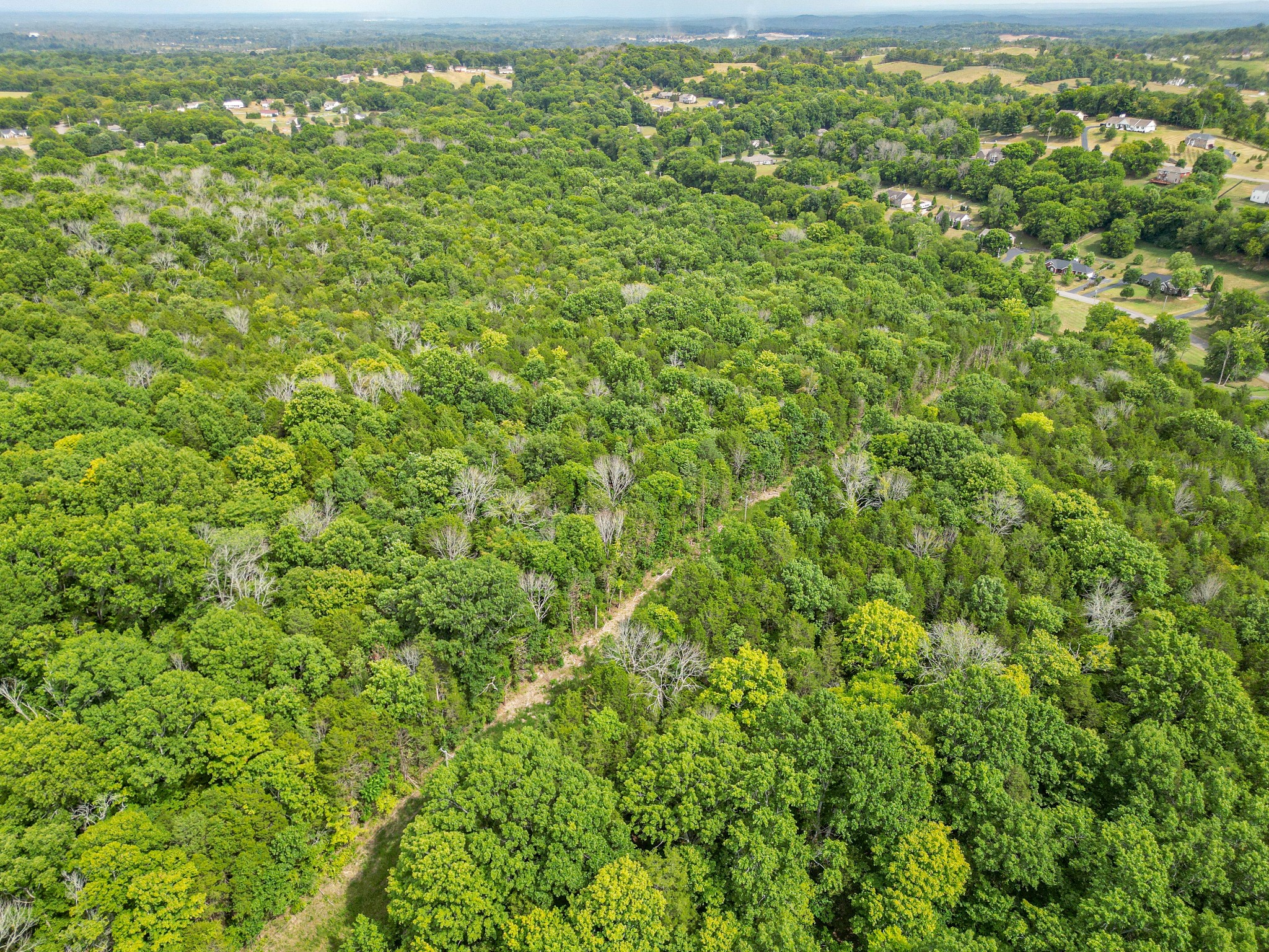 0 Cliff Amos Road N Of Tn Spring Hill TN 37174